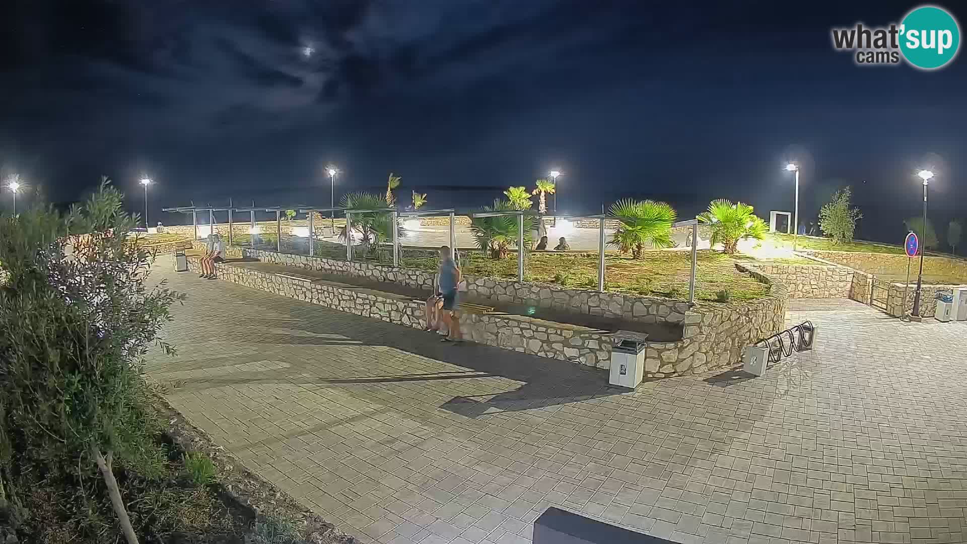 Webcam Mandre – Scène estivale Velika điga | Île de Pag