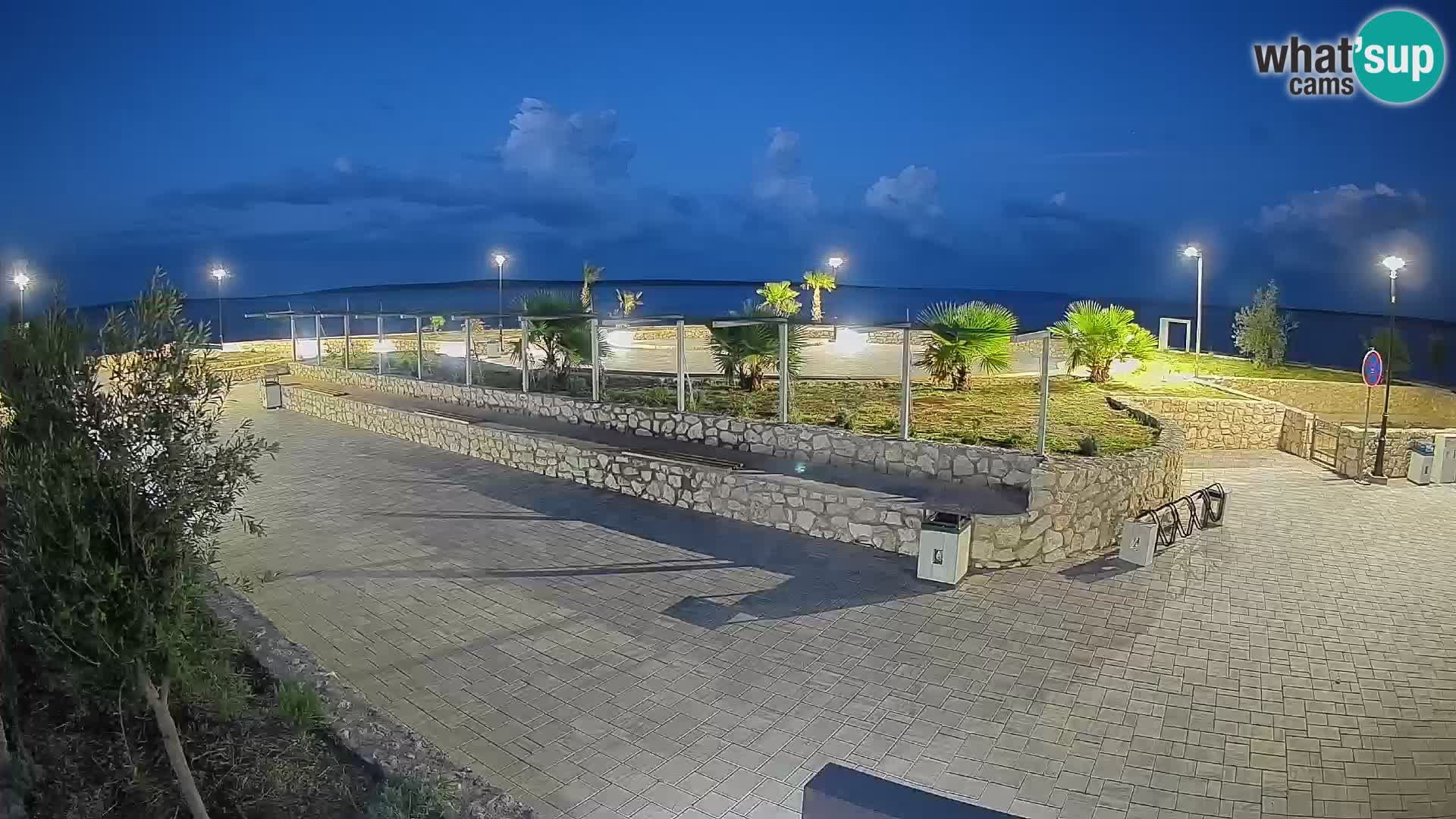 Webcam Mandre – Scène estivale Velika điga | Île de Pag
