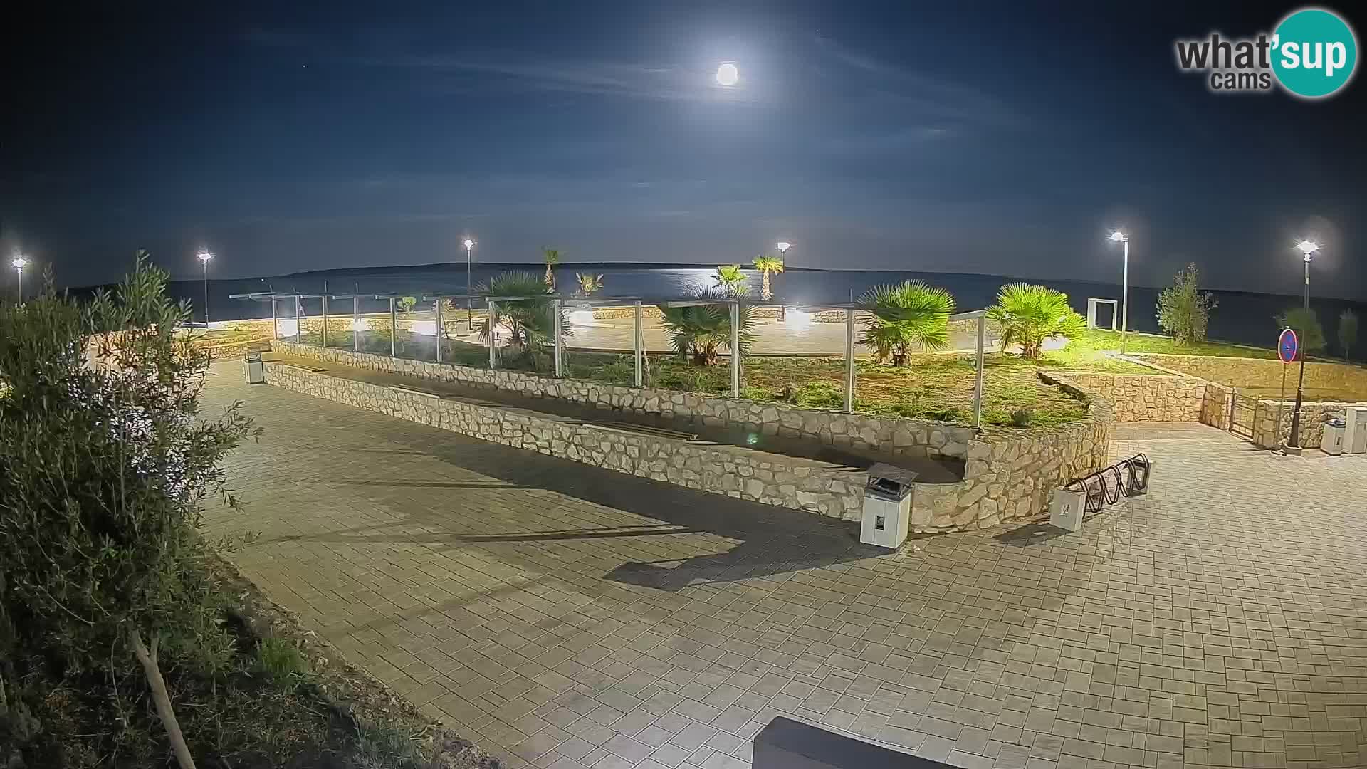 Webcam Mandre – Scène estivale Velika điga | Île de Pag
