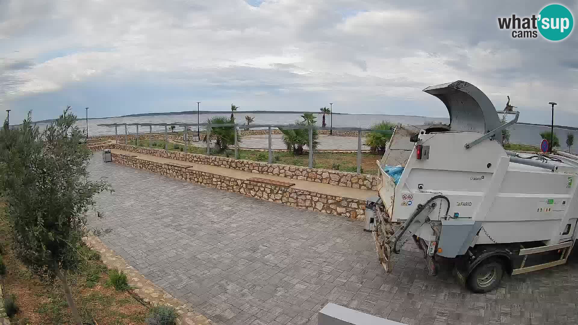 Webcam Mandre – Scène estivale Velika điga | Île de Pag