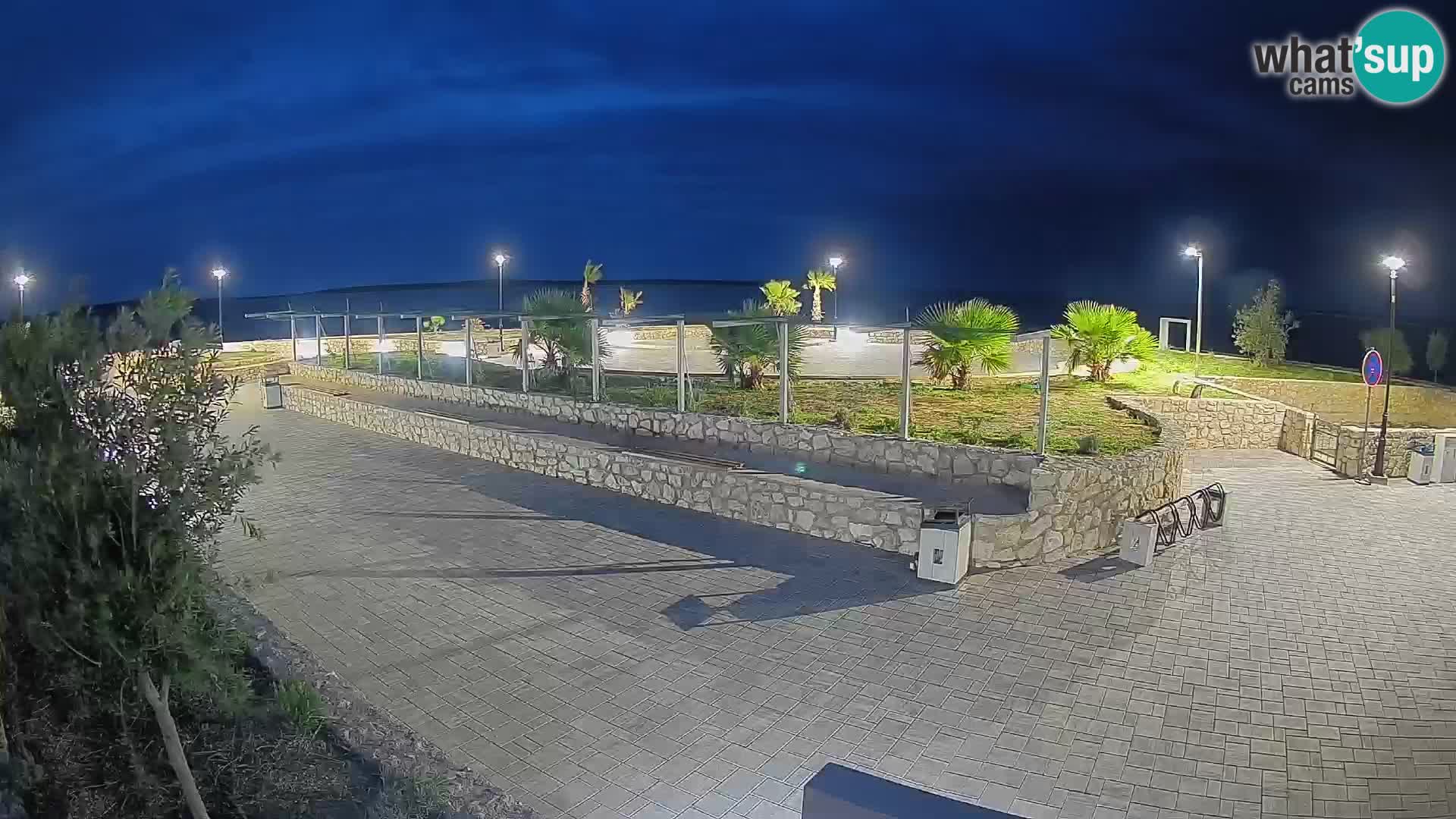 Webcam Mandre – Scène estivale Velika điga | Île de Pag