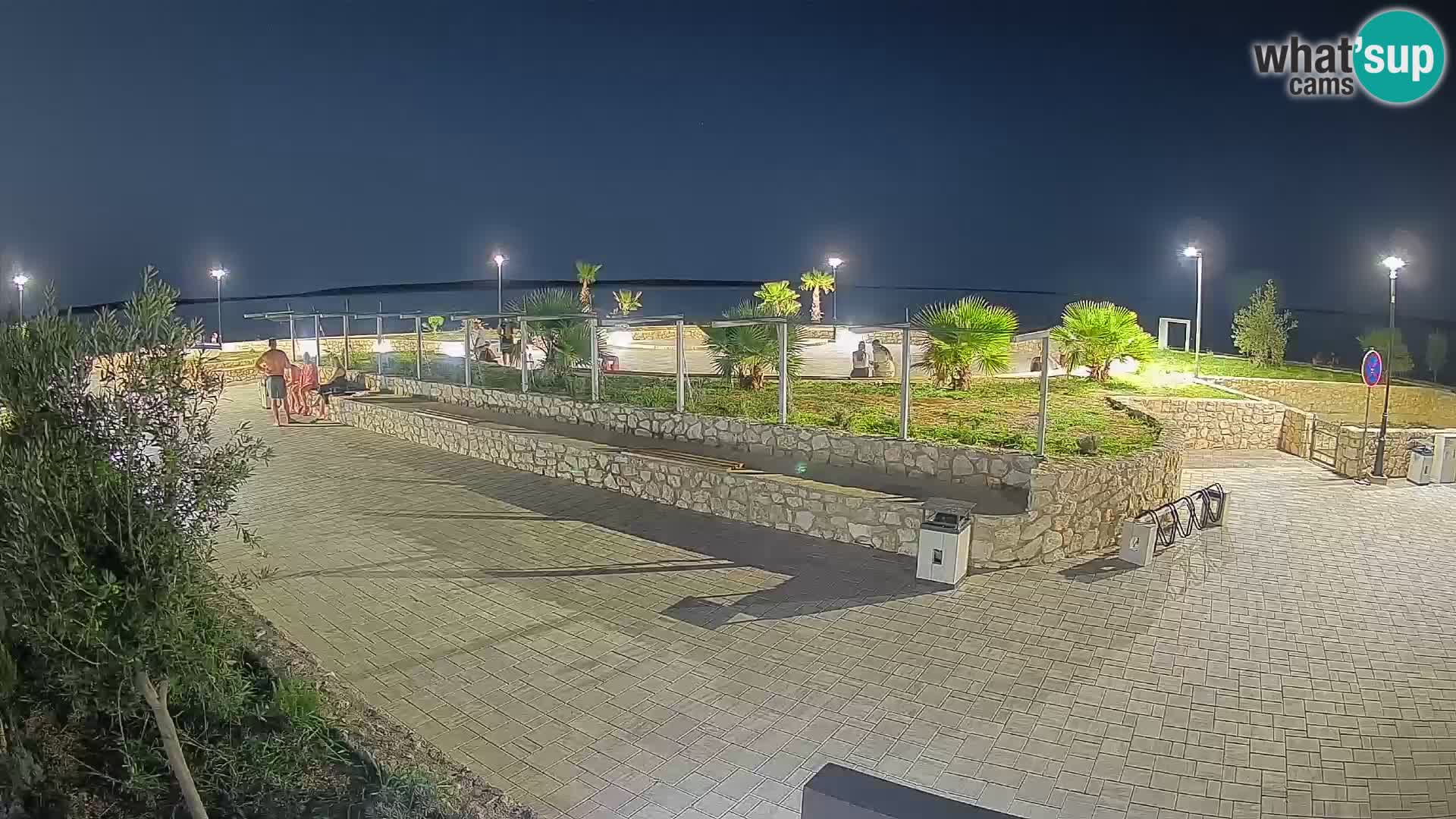 Webcam Mandre – Escenario de verano Velika điga | Isla de Pag