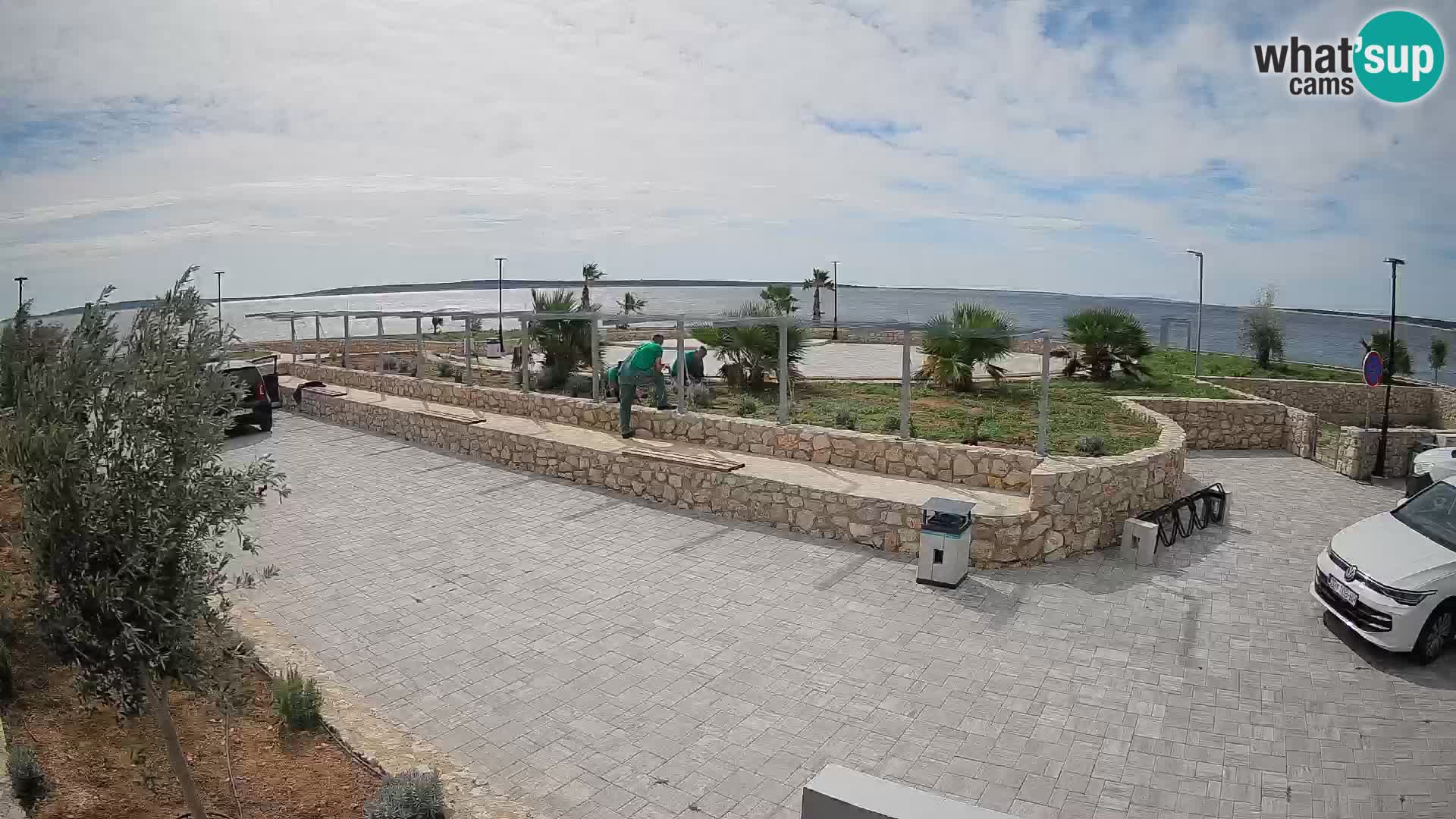 Spletna kamera Mandre – Poletni oder Velika điga | Otok Pag
