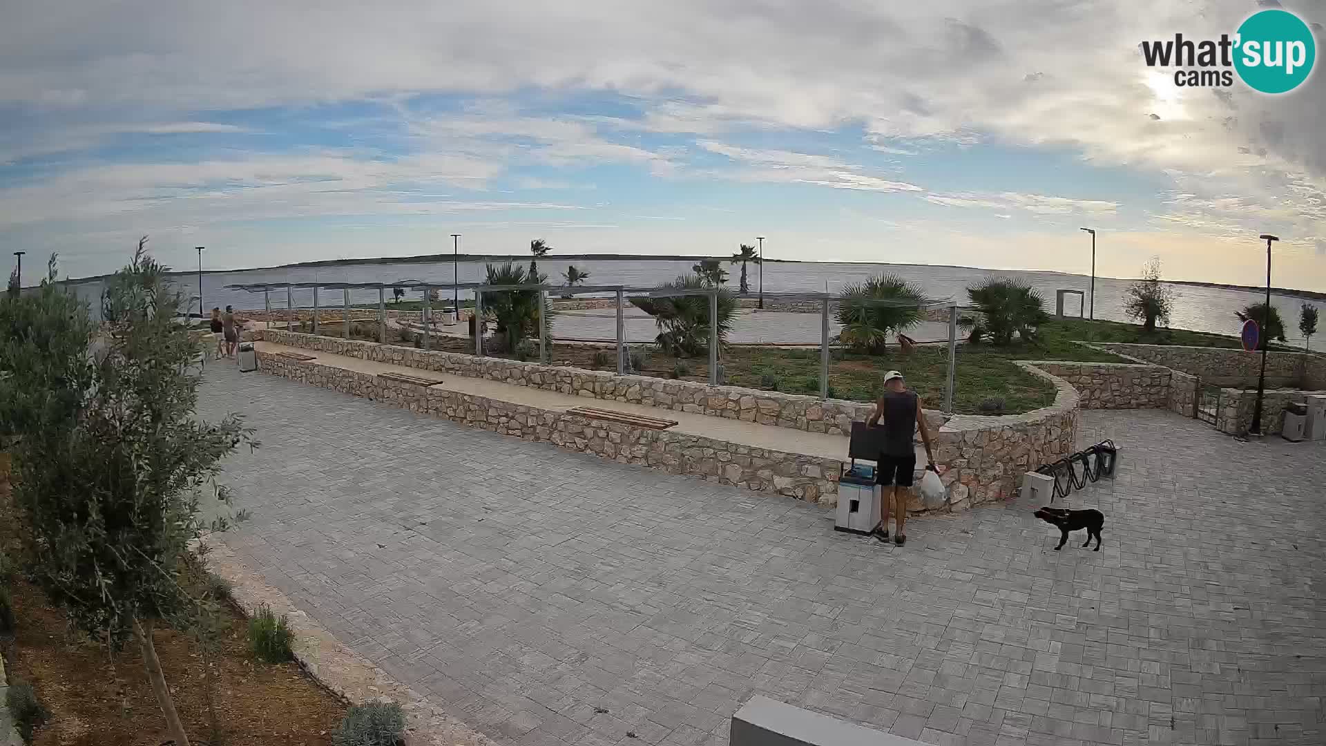 Webcam Mandre – Scène estivale Velika điga | Île de Pag