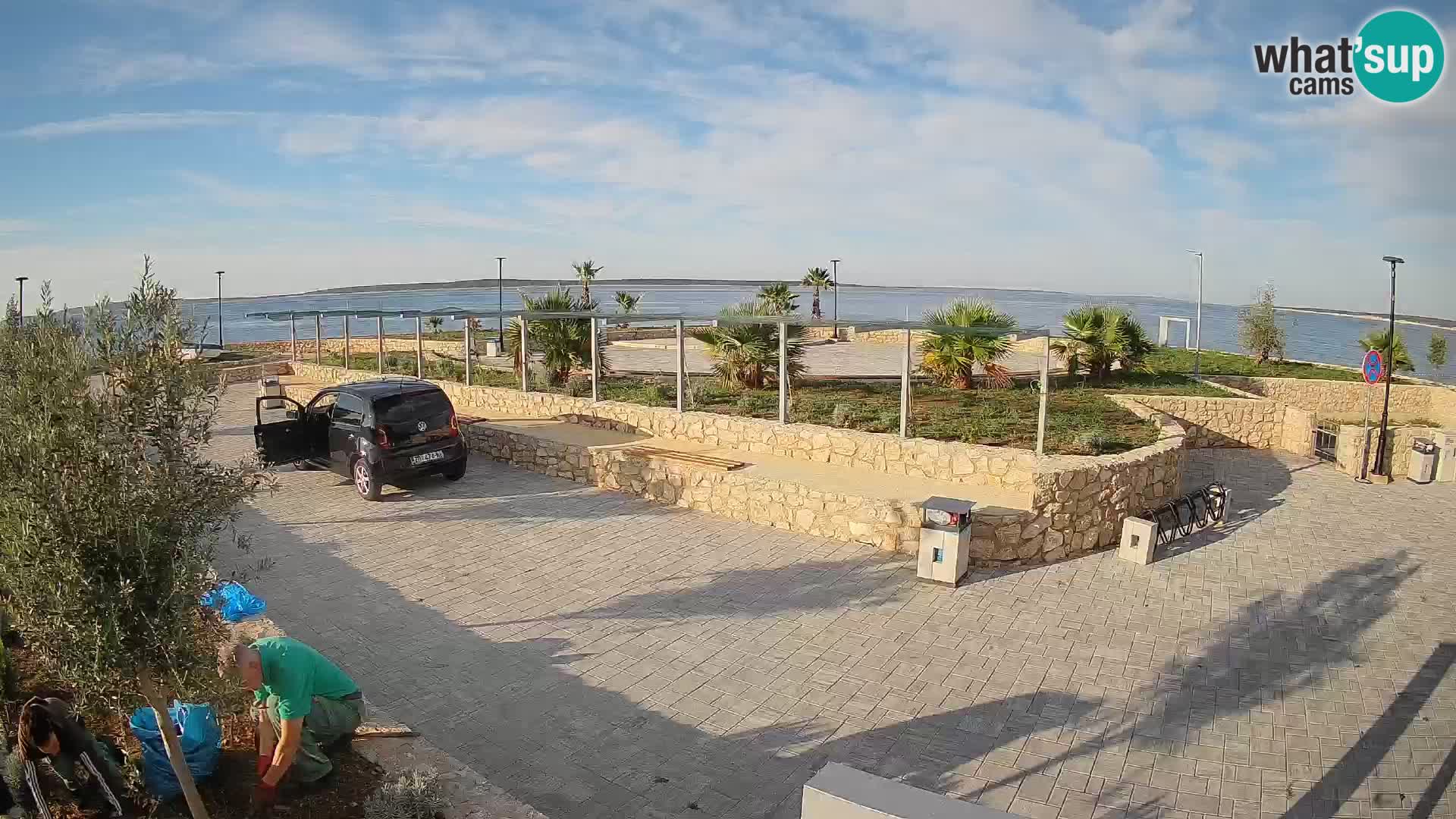 Webcam Mandre – Scène estivale Velika điga | Île de Pag