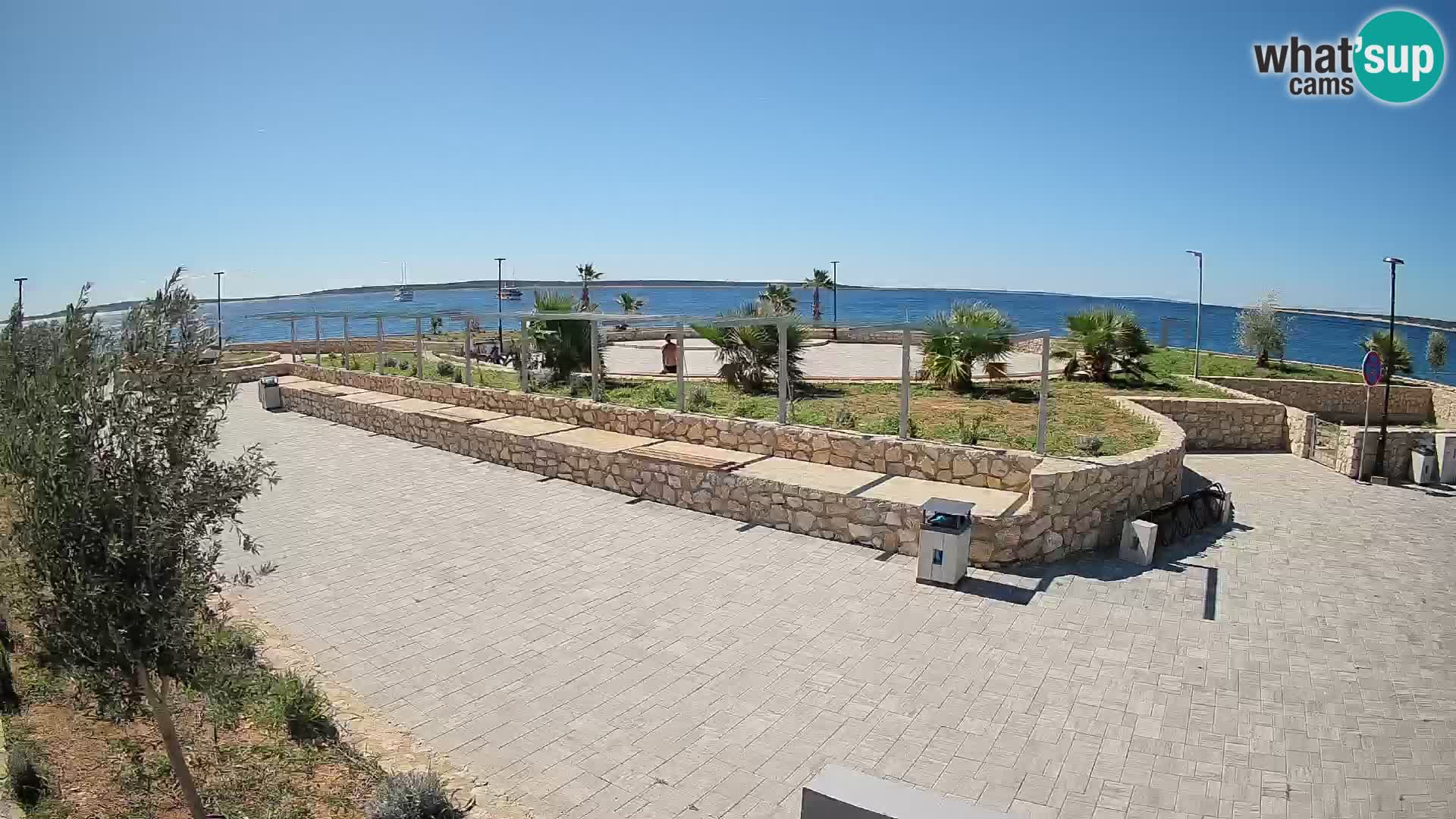 Spletna kamera Mandre – Poletni oder Velika điga | Otok Pag