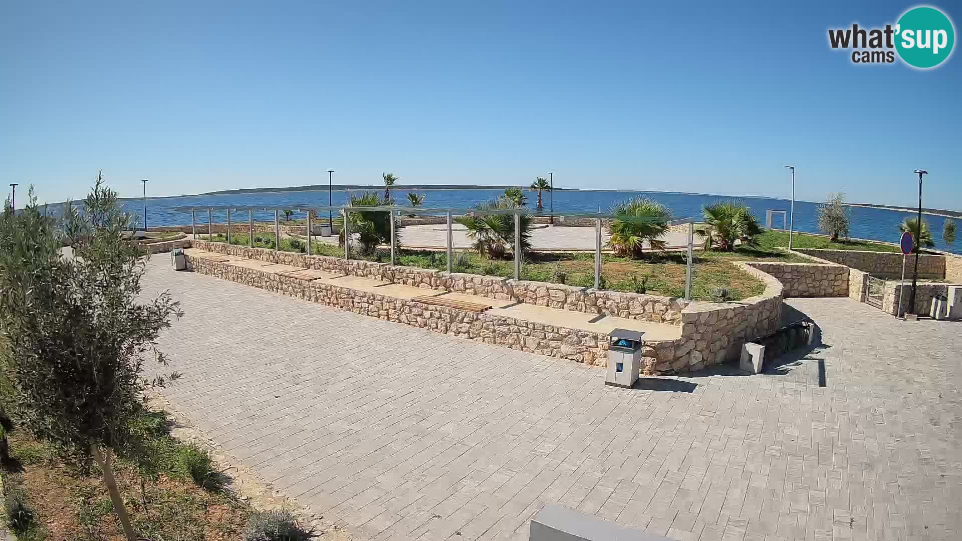 Webcam Mandre – Scène estivale Velika điga | Île de Pag