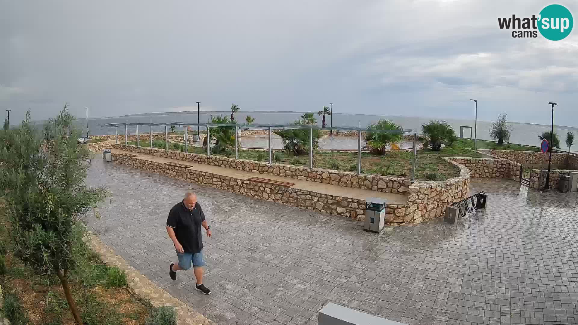 Webcam Mandre – Palco estivo Velika điga | Isola di Pag