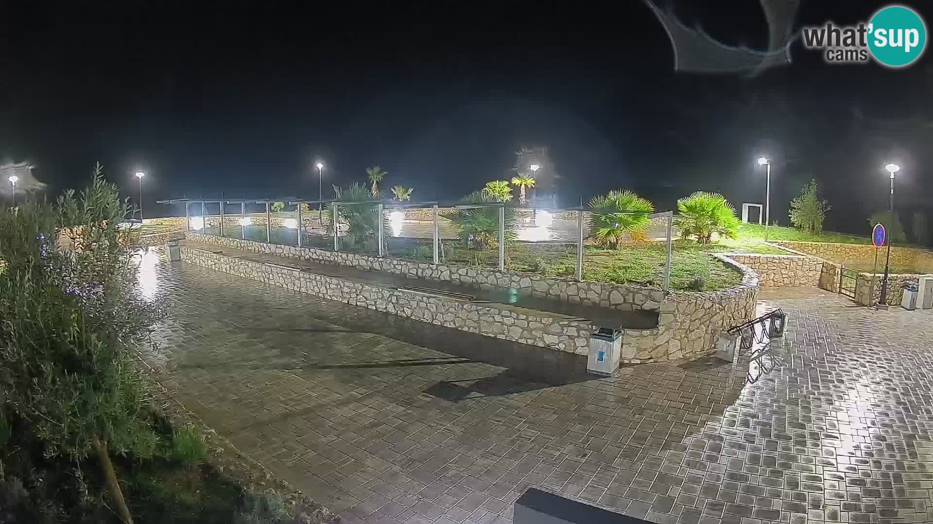 Webcam Mandre – Scène estivale Velika điga | Île de Pag