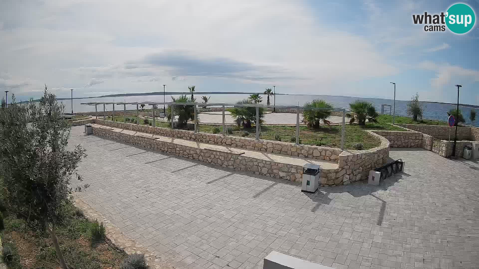 Webcam Mandre – Scène estivale Velika điga | Île de Pag