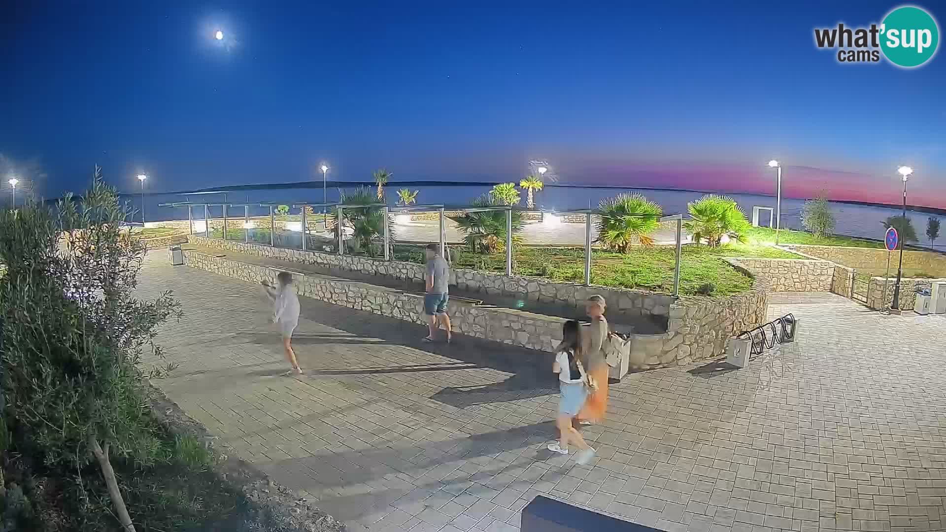 Webcam Mandre – Scène estivale Velika điga | Île de Pag