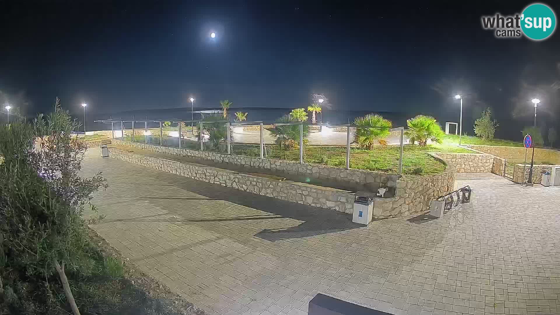 Webcam Mandre – Escenario de verano Velika điga | Isla de Pag