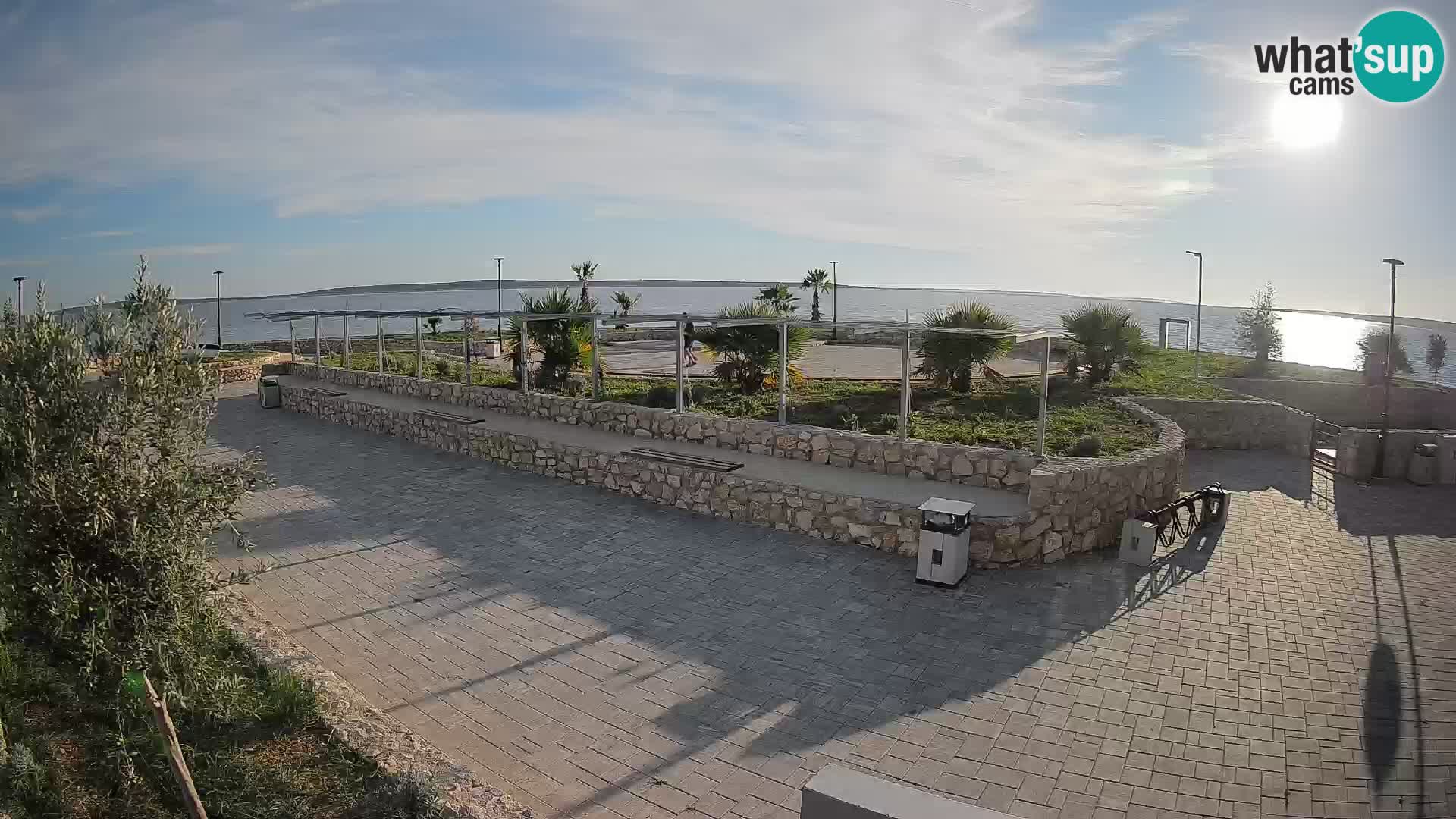 Webcam Mandre – Scène estivale Velika điga | Île de Pag