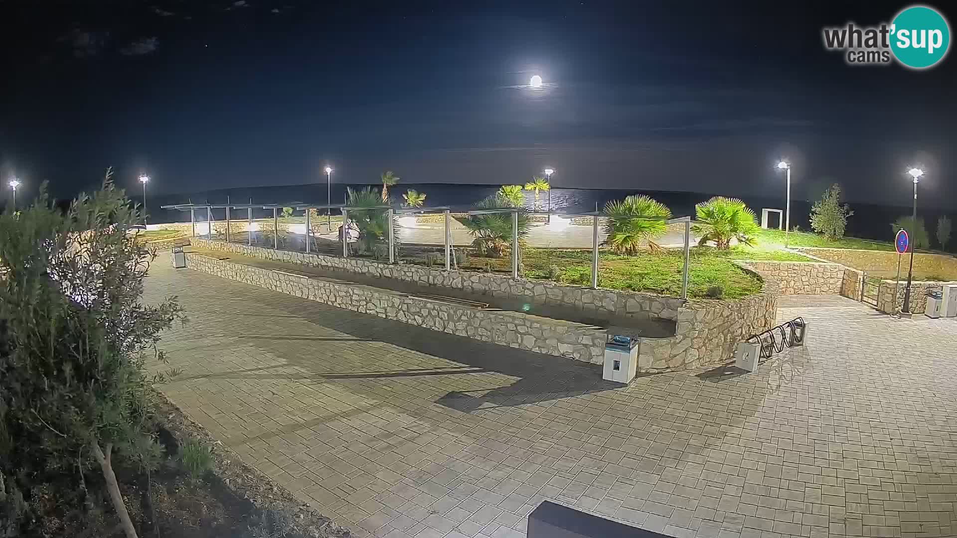 Webcam Mandre – Scène estivale Velika điga | Île de Pag