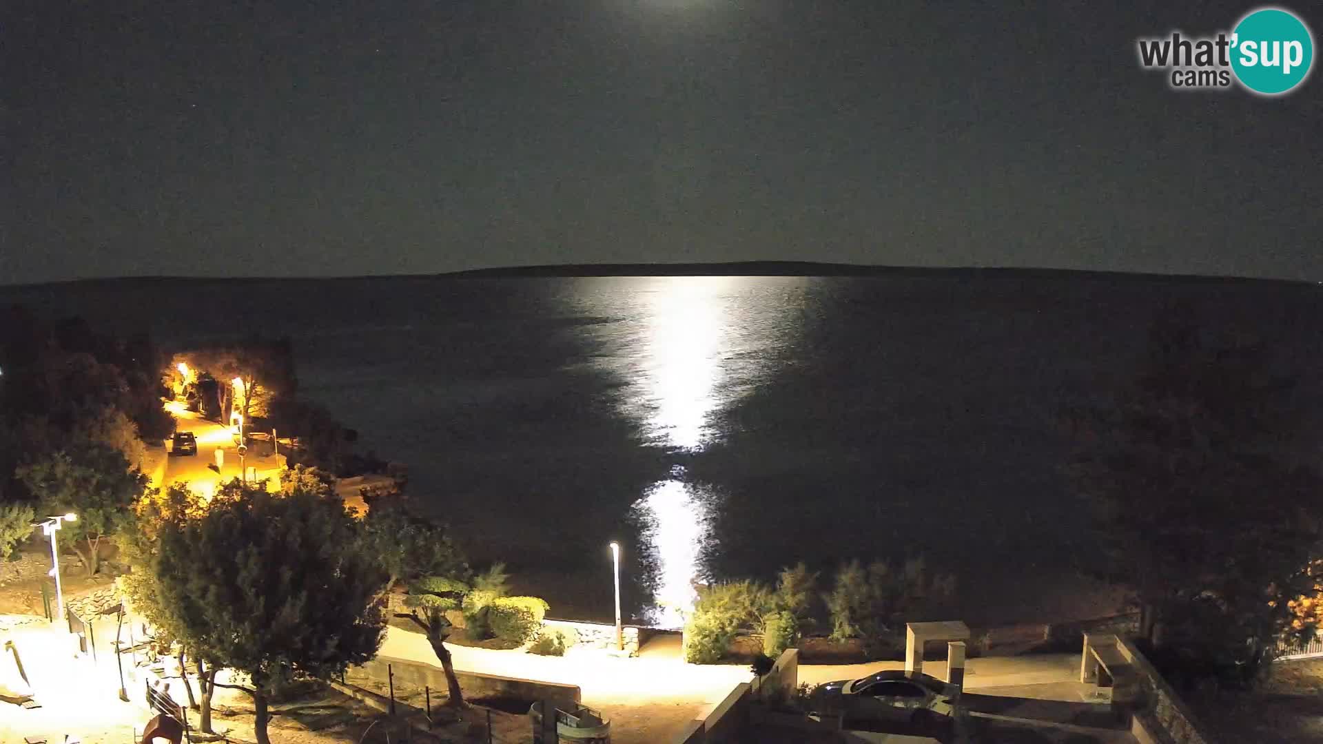Webcam Plage Male Mandre – Vue en direct depuis l’île de Pag