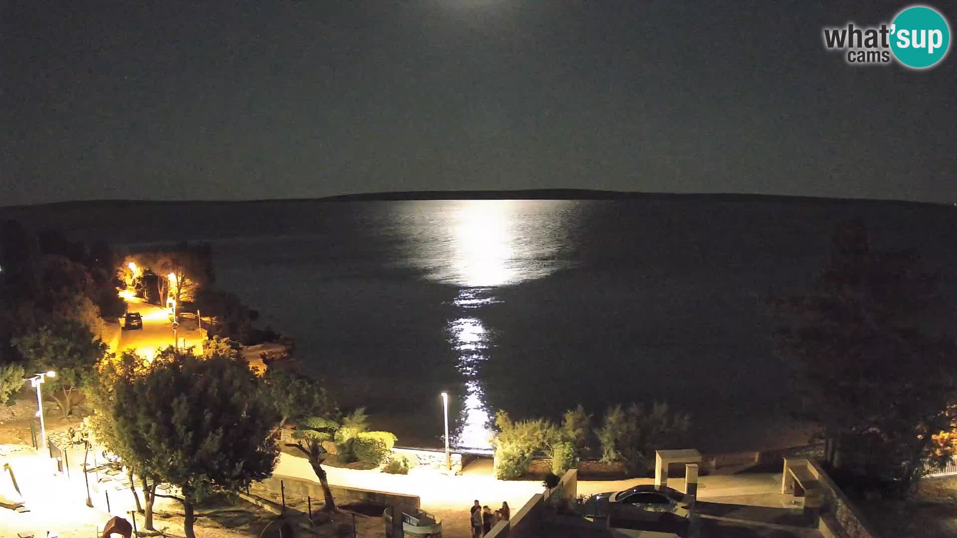 Webcam Playa Male Mandre en directo – Isla de Pag