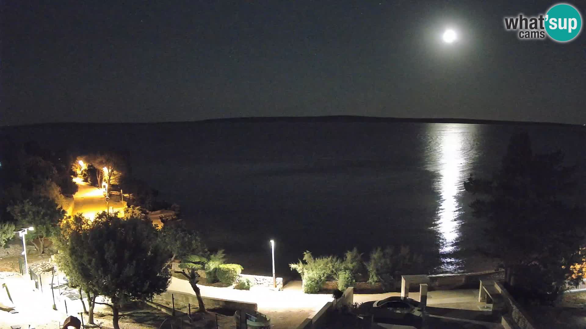 Webcam Plaža Male Mandre – Live View from Pag Island