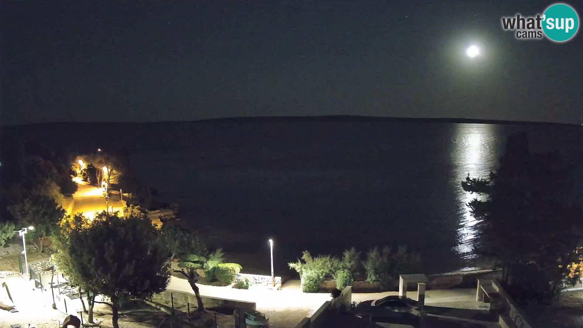 Webcam Playa Male Mandre en directo – Isla de Pag