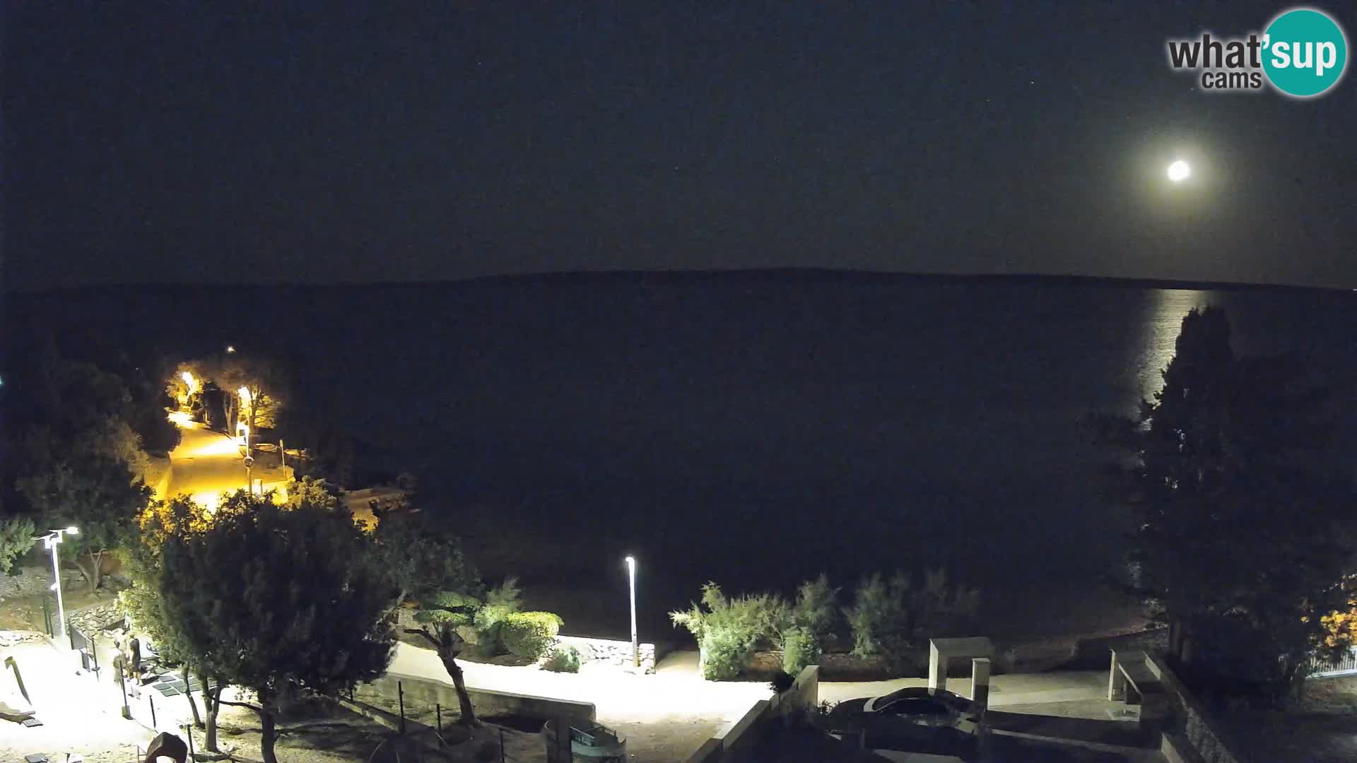 Webcam Plage Male Mandre – Vue en direct depuis l’île de Pag