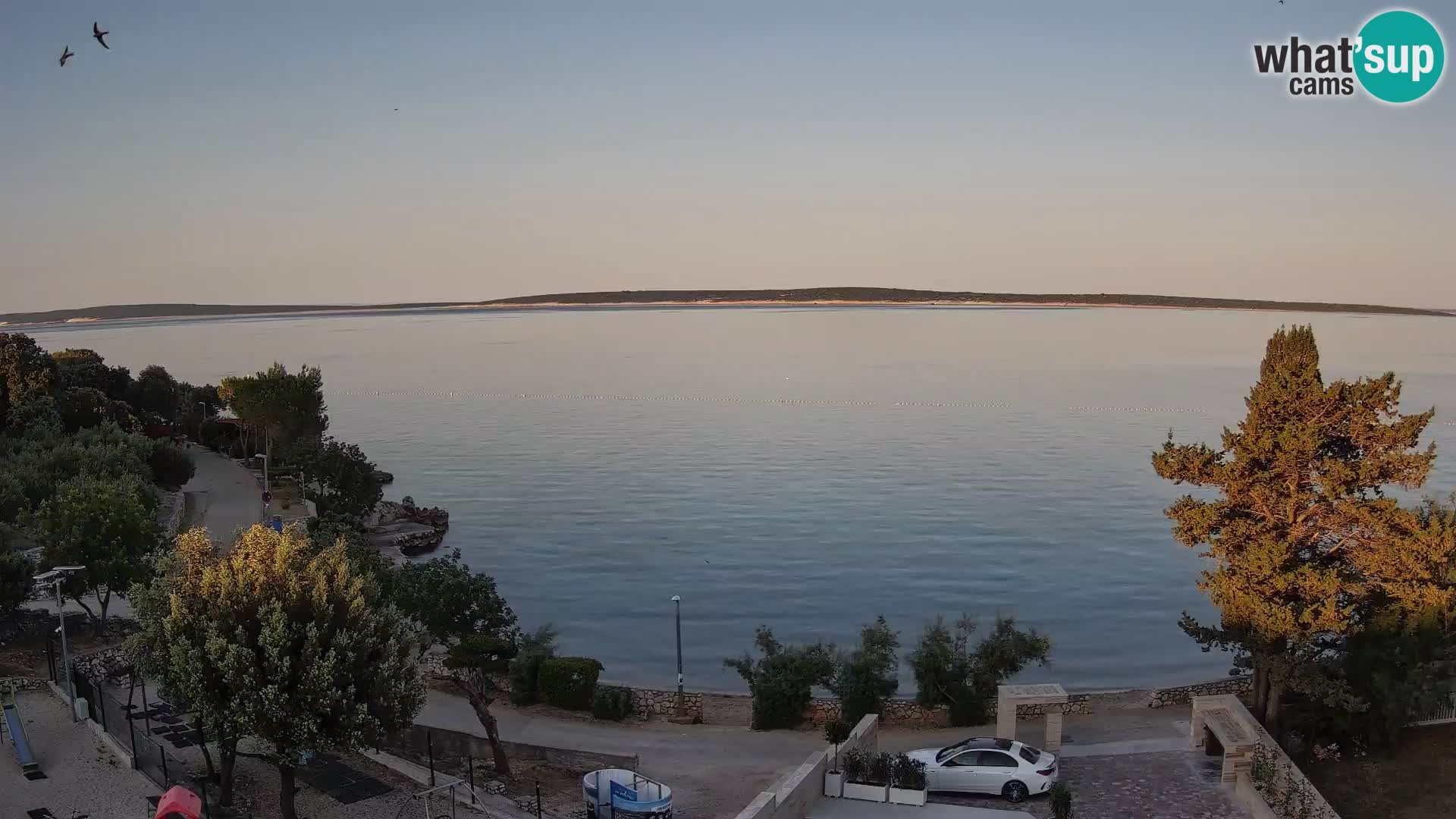 Webcam Plaža Male Mandre – Live View from Pag Island