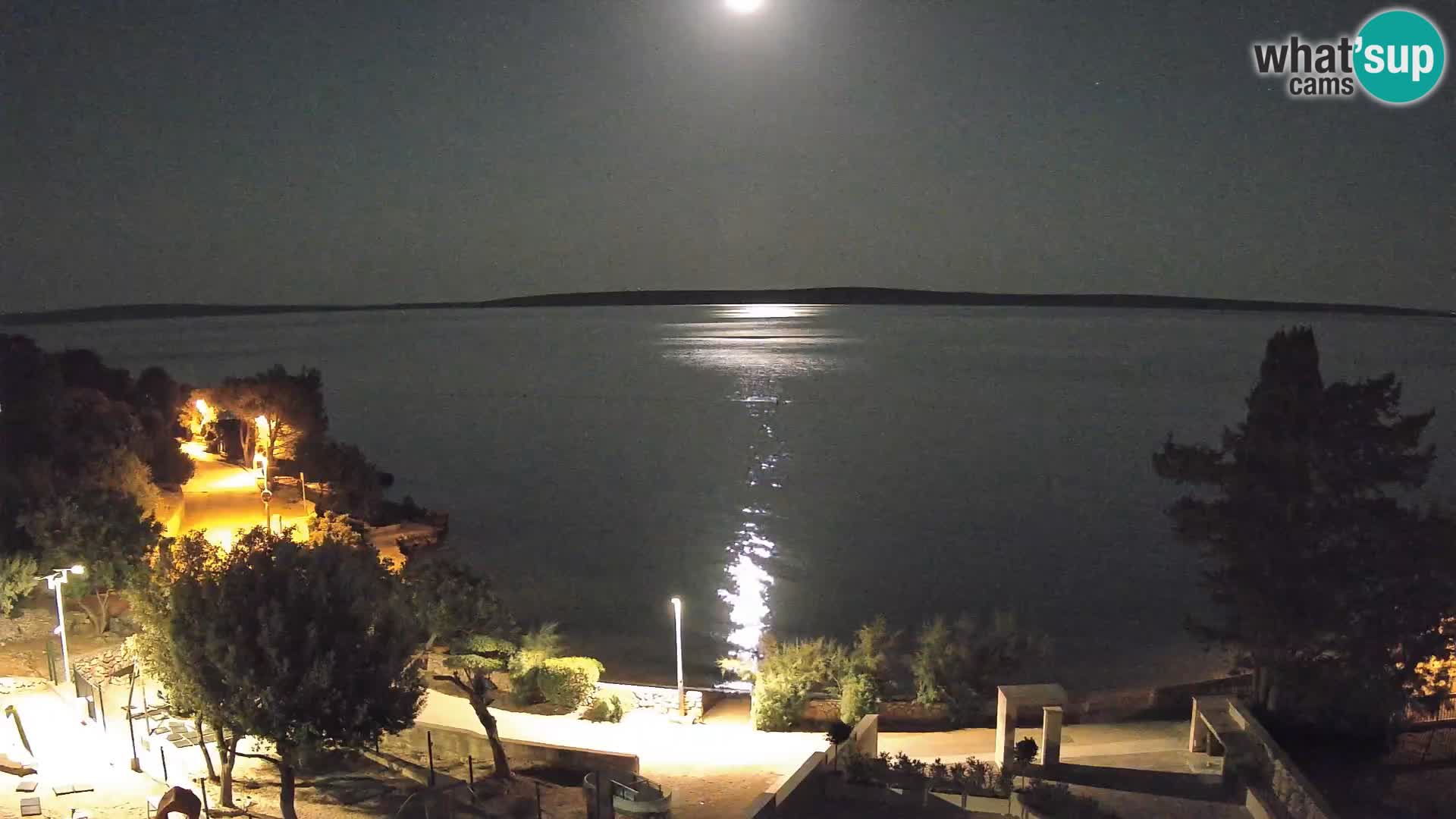Webcam Playa Male Mandre en directo – Isla de Pag