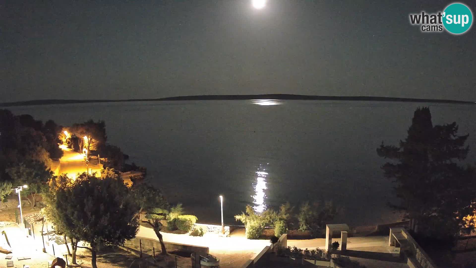Webcam Plage Male Mandre – Vue en direct depuis l’île de Pag