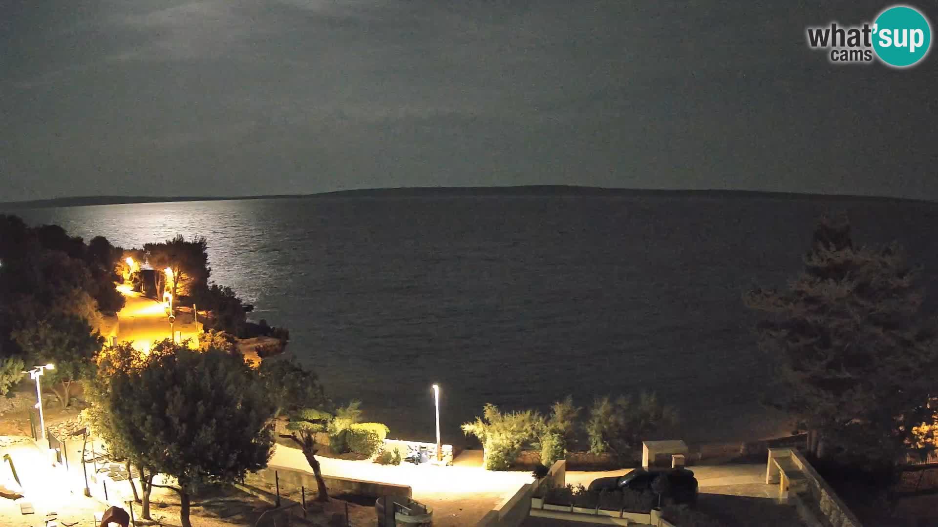 Webcam Plaža Male Mandre – Live View from Pag Island