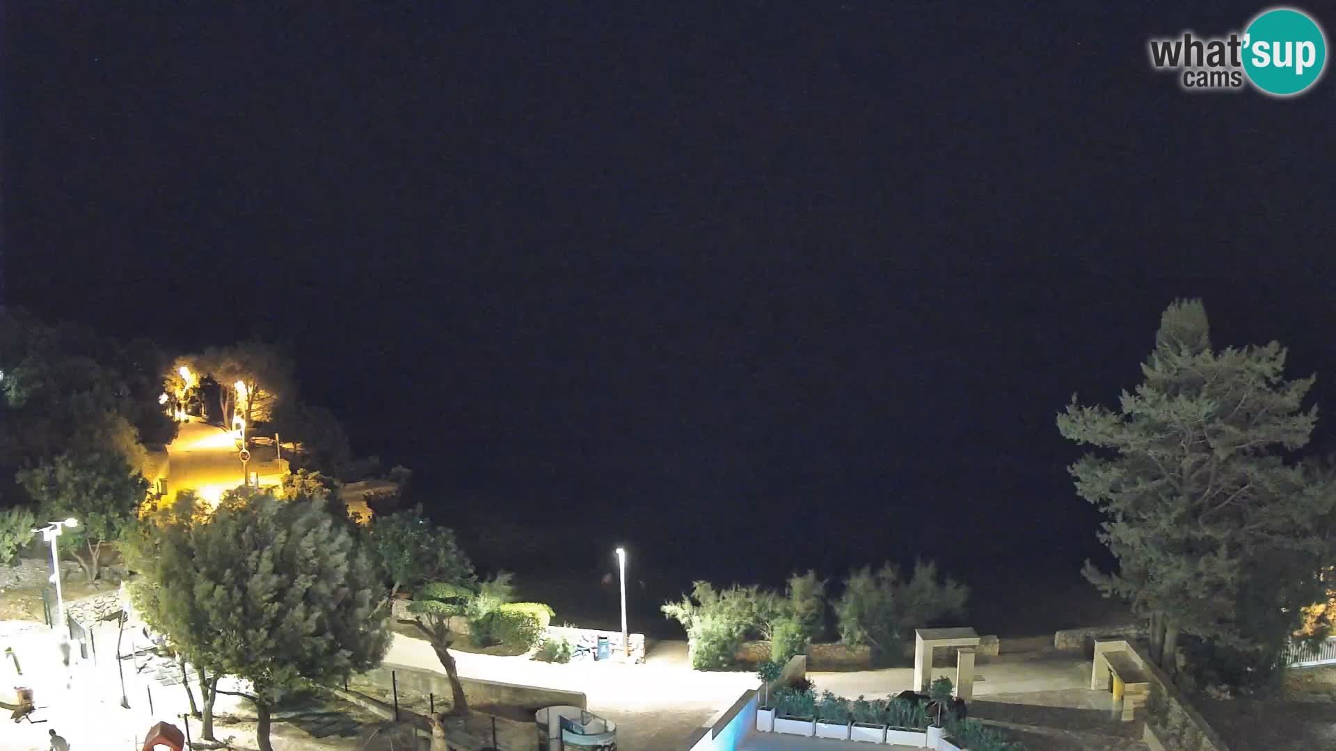 Webcam Plaža Male Mandre – Live View from Pag Island
