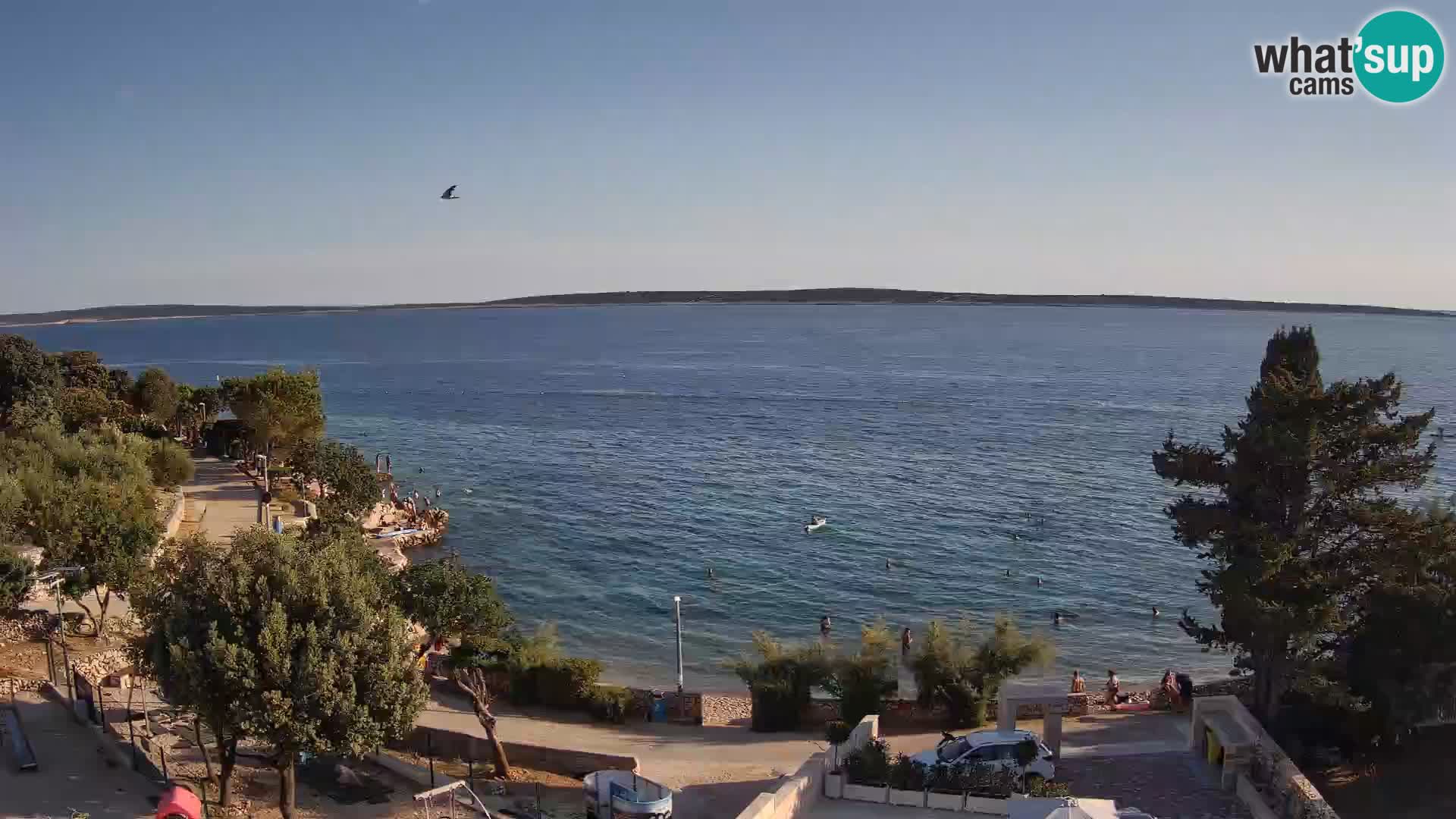 Webcam Plaža Male Mandre – Live View from Pag Island
