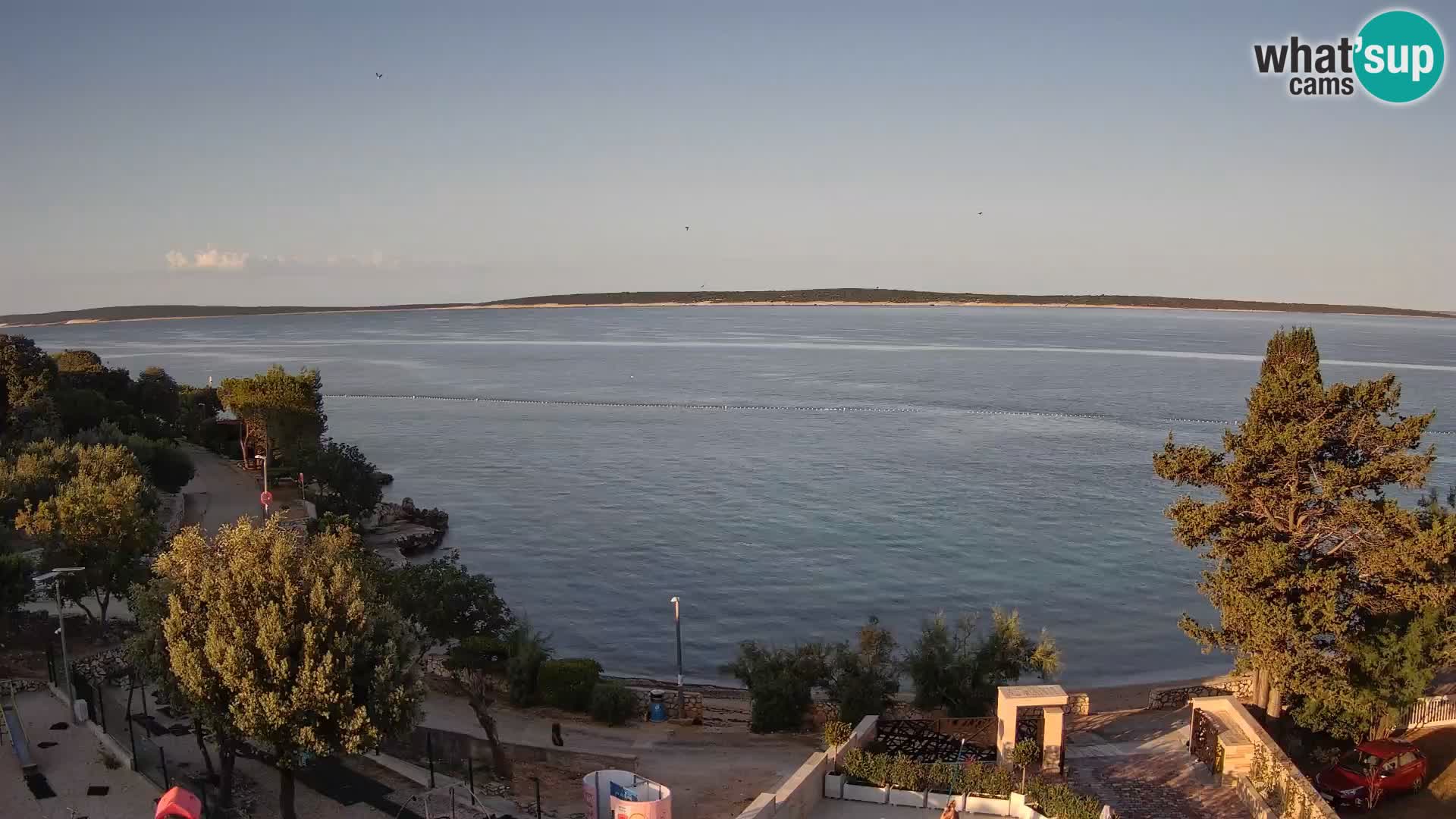 Webcam Plaža Male Mandre – Live View from Pag Island