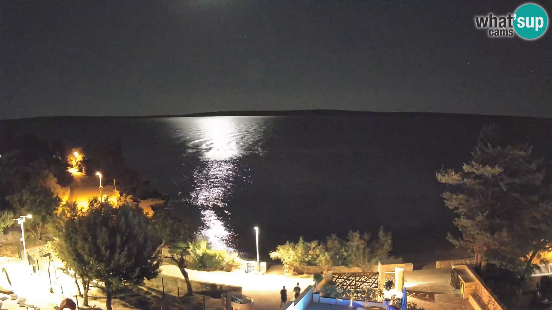 Webcam Playa Male Mandre en directo – Isla de Pag