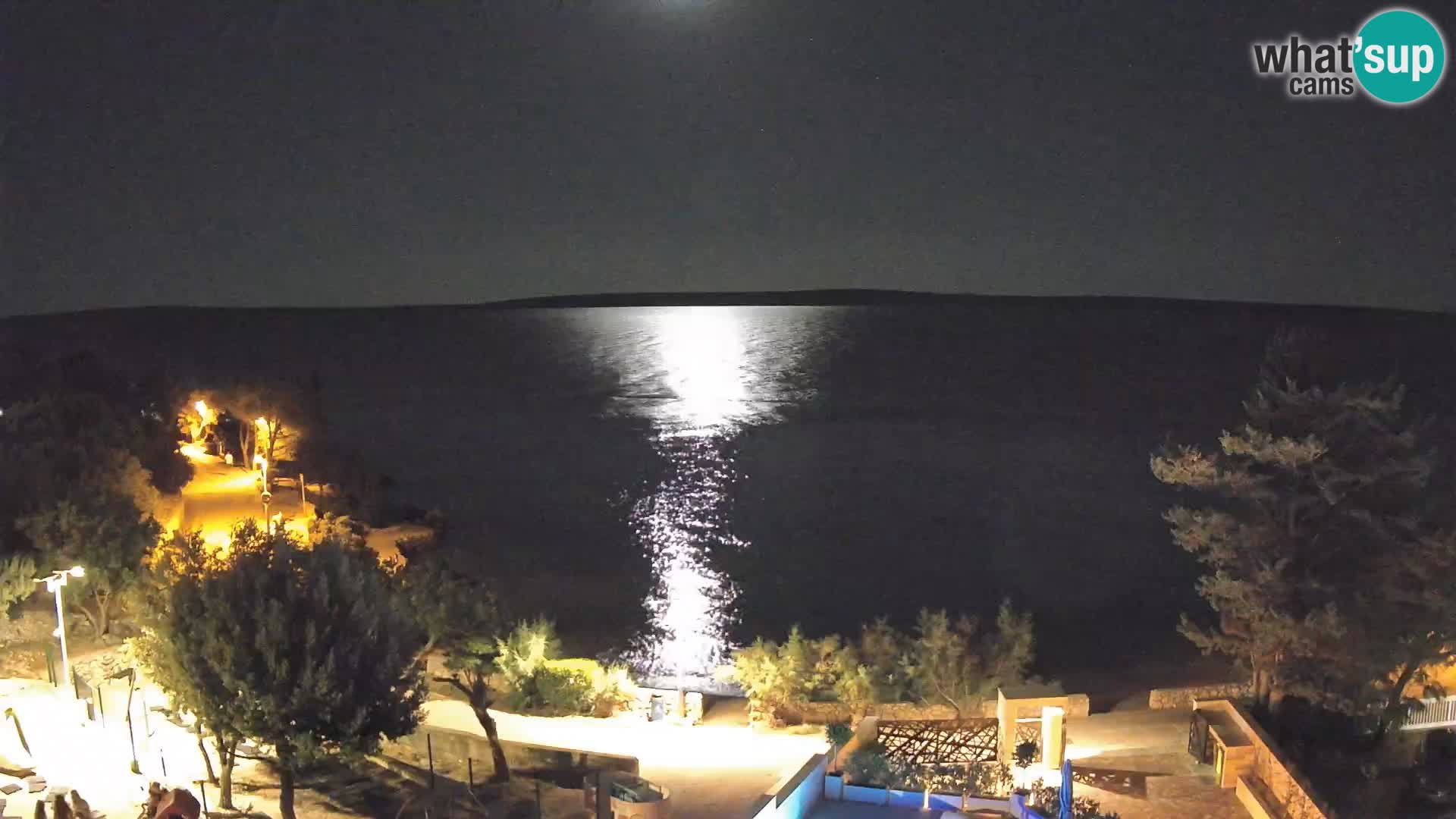 Webcam Plage Male Mandre – Vue en direct depuis l’île de Pag