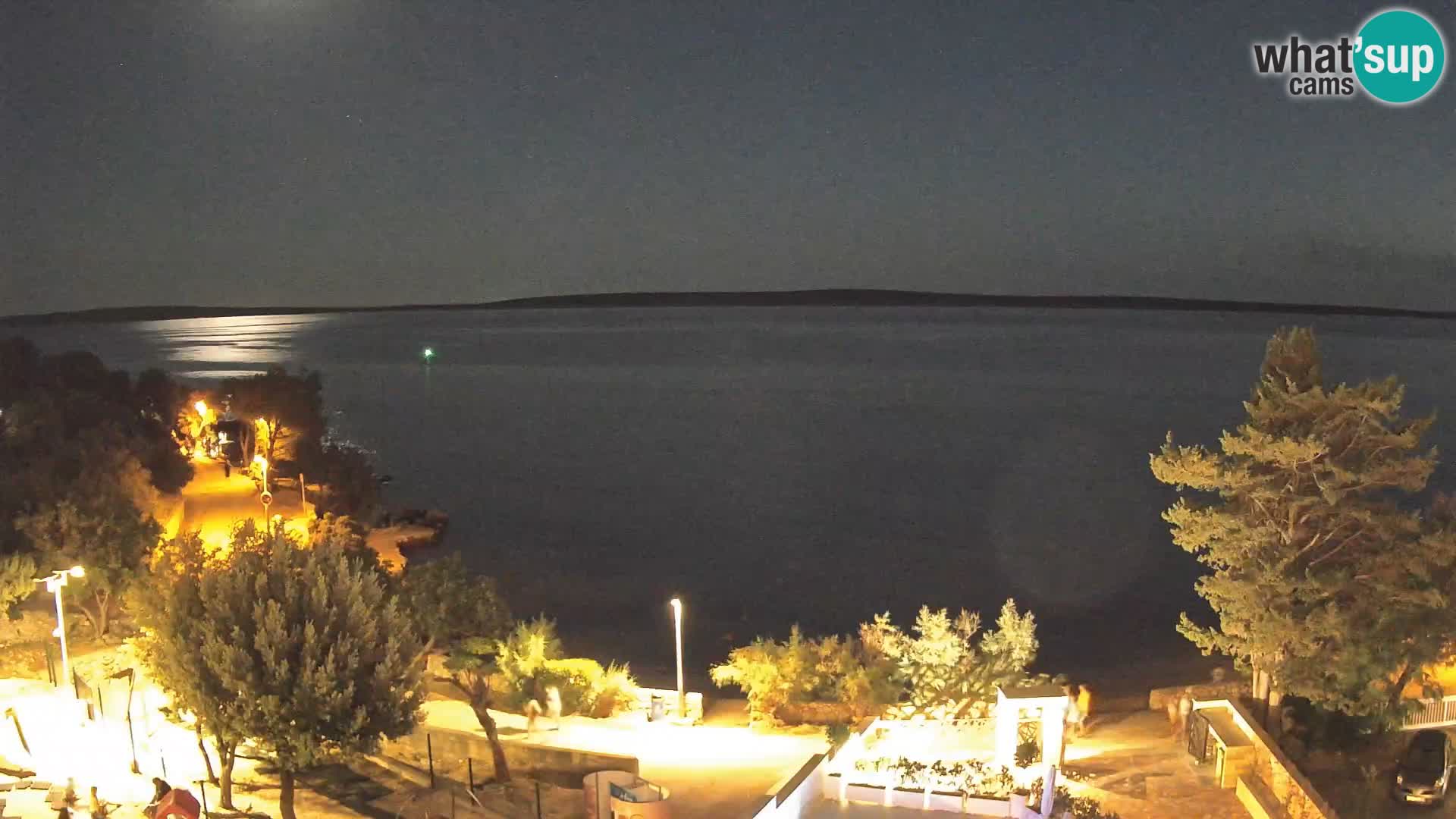 Webcam Plaža Male Mandre – Live View from Pag Island