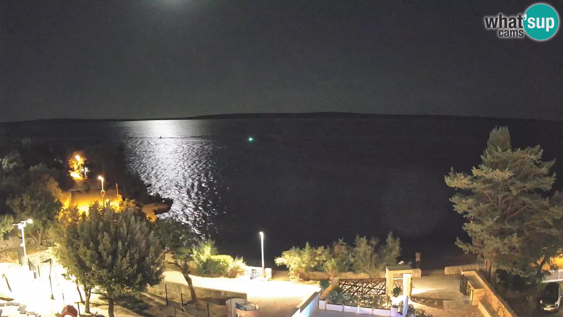 Webcam Plage Male Mandre – Vue en direct depuis l’île de Pag