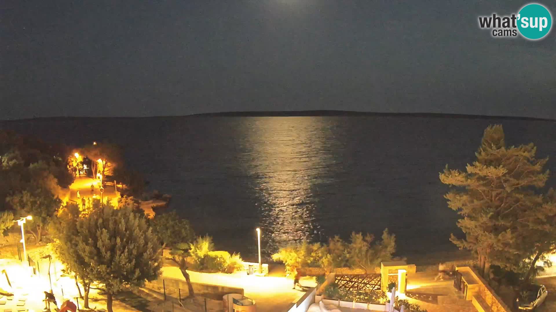 Webcam Plage Male Mandre – Vue en direct depuis l’île de Pag