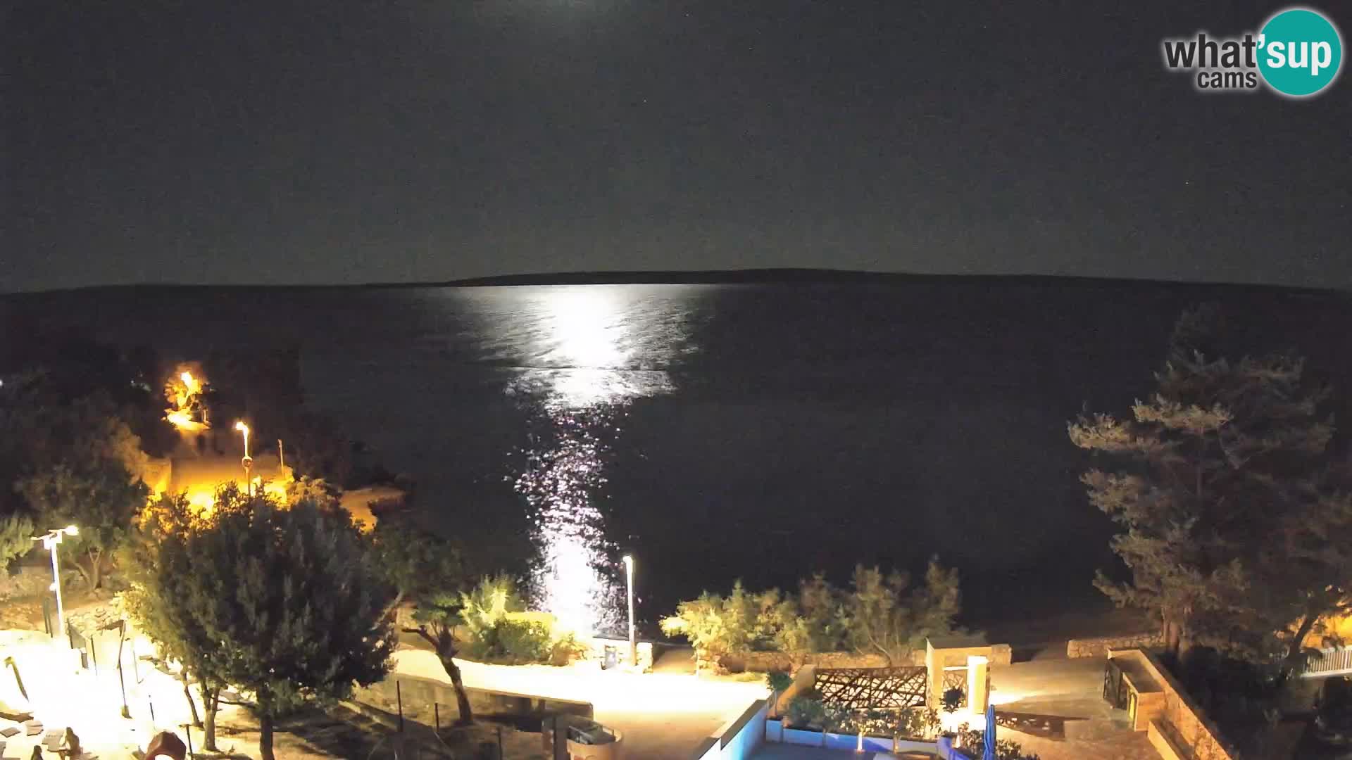 Webcam Plage Male Mandre – Vue en direct depuis l’île de Pag