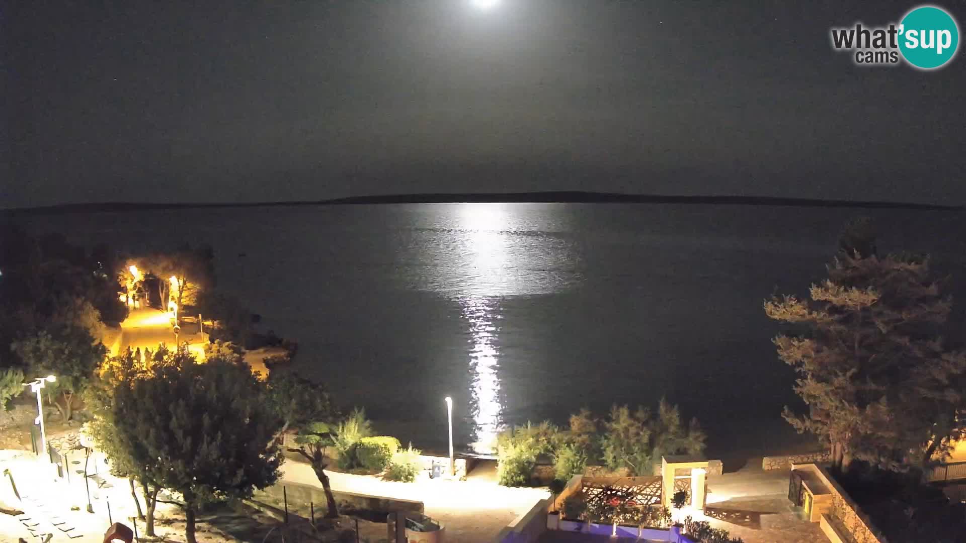 Webcam Plage Male Mandre – Vue en direct depuis l’île de Pag