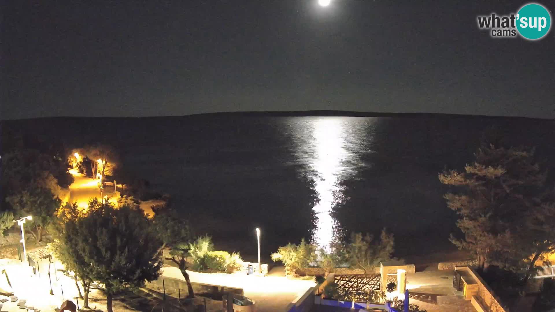 Webcam Plaža Male Mandre – Live View from Pag Island