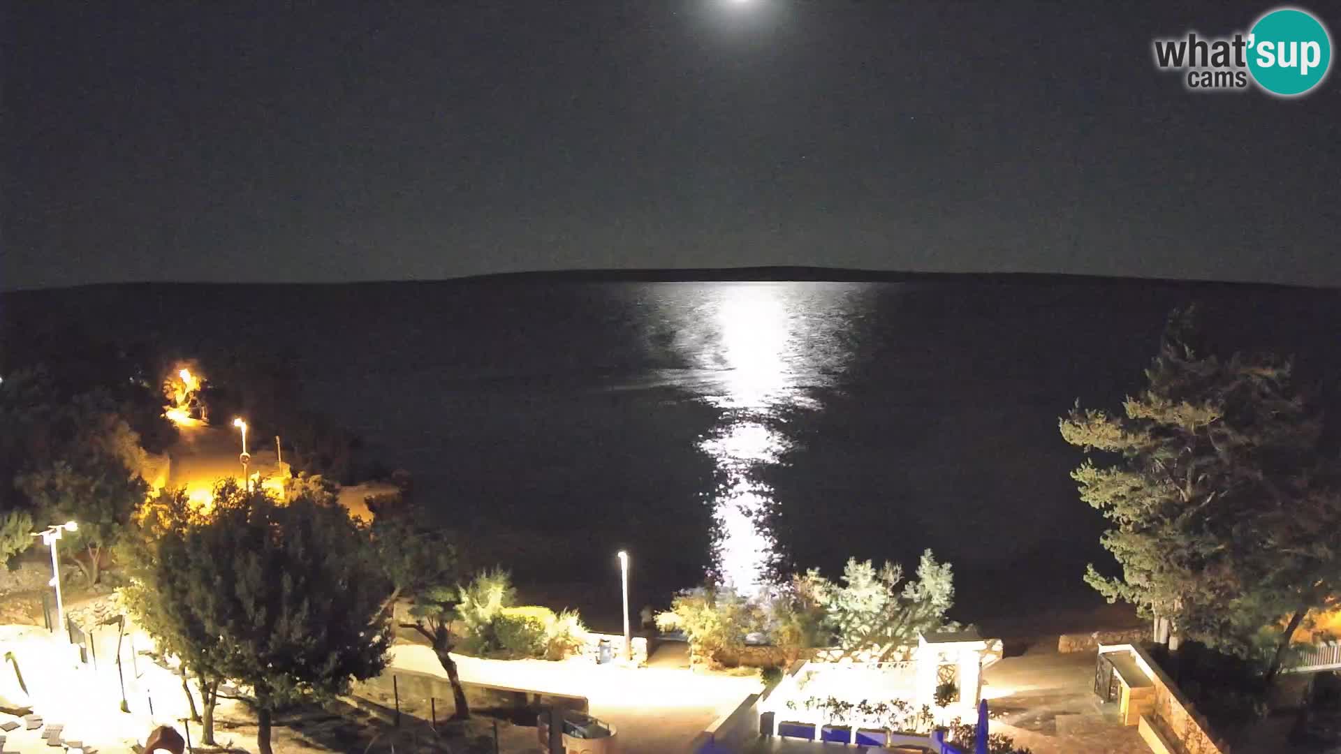 Webcam Plage Male Mandre – Vue en direct depuis l’île de Pag