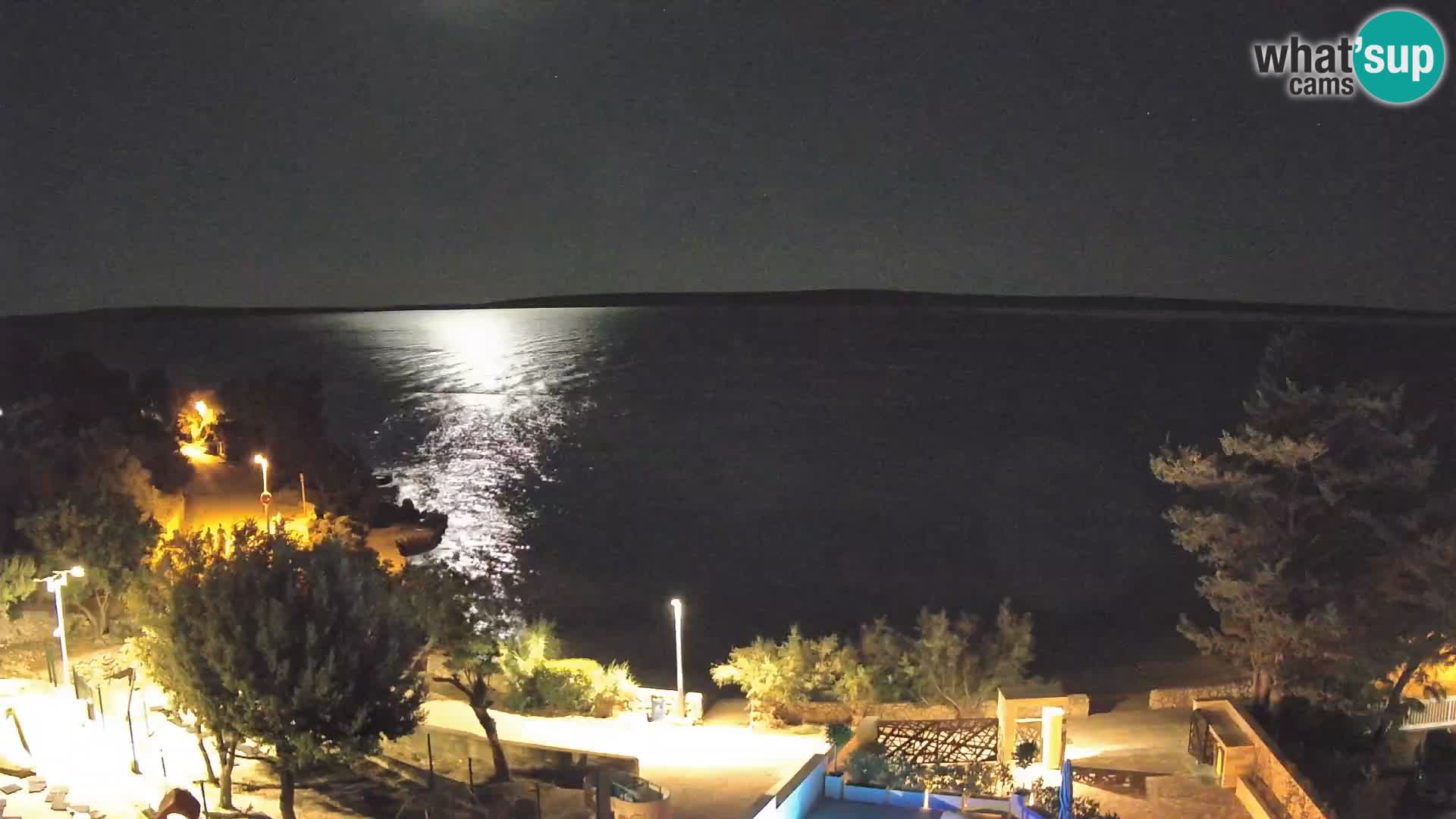 Webcam Plage Male Mandre – Vue en direct depuis l’île de Pag