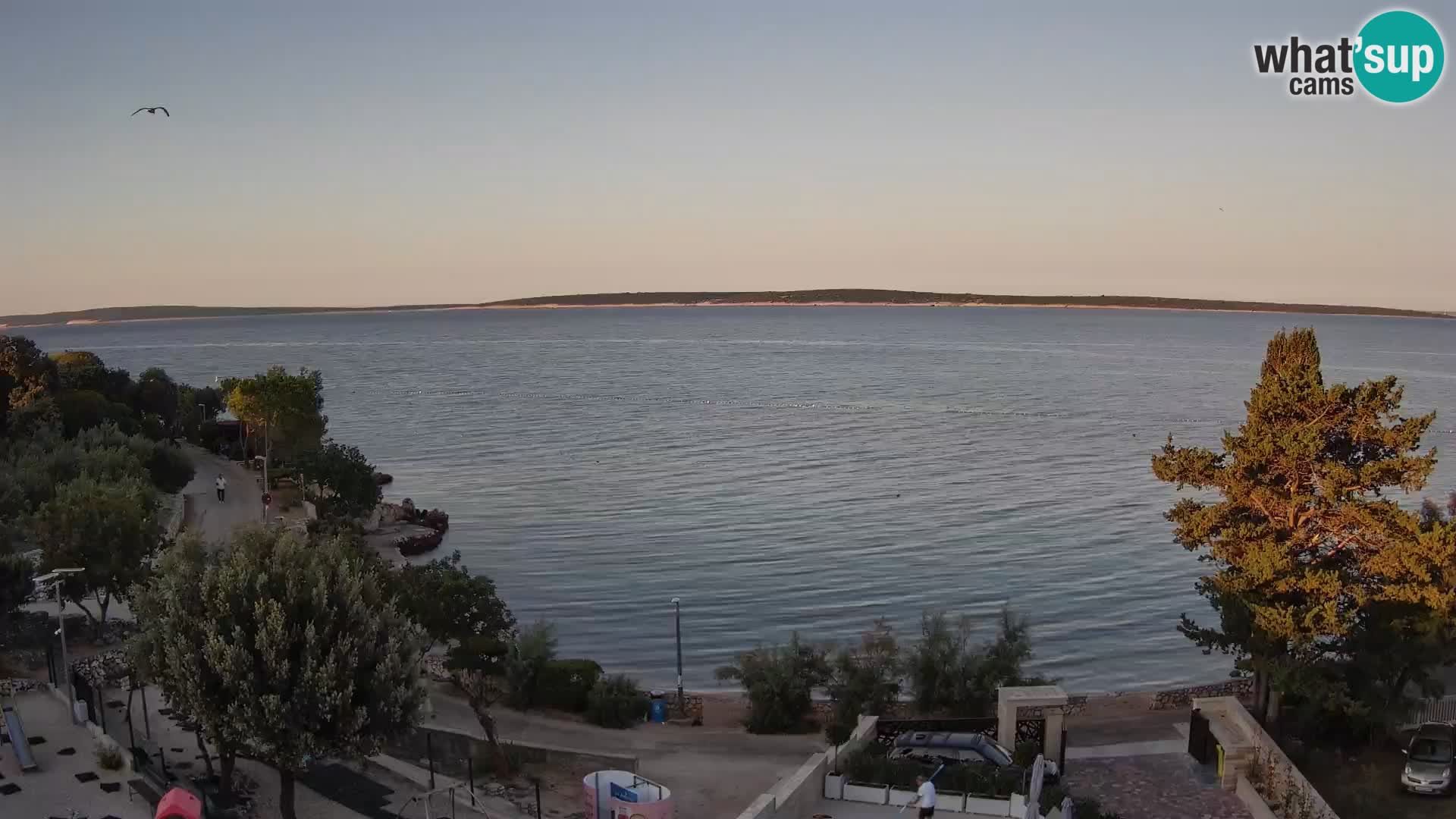 Webcam Plaža Male Mandre – Diretta dalla spiaggia sull’isola di Pag