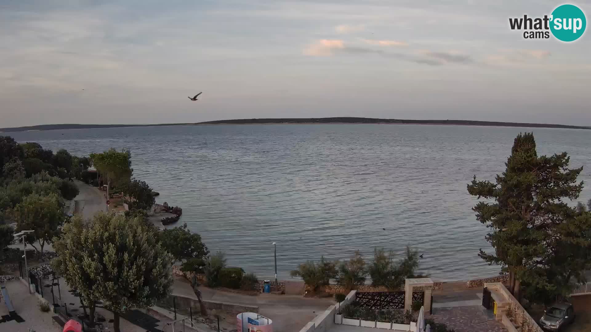 Webcam Strand Male Mandre – Liveblick von der Insel Pag