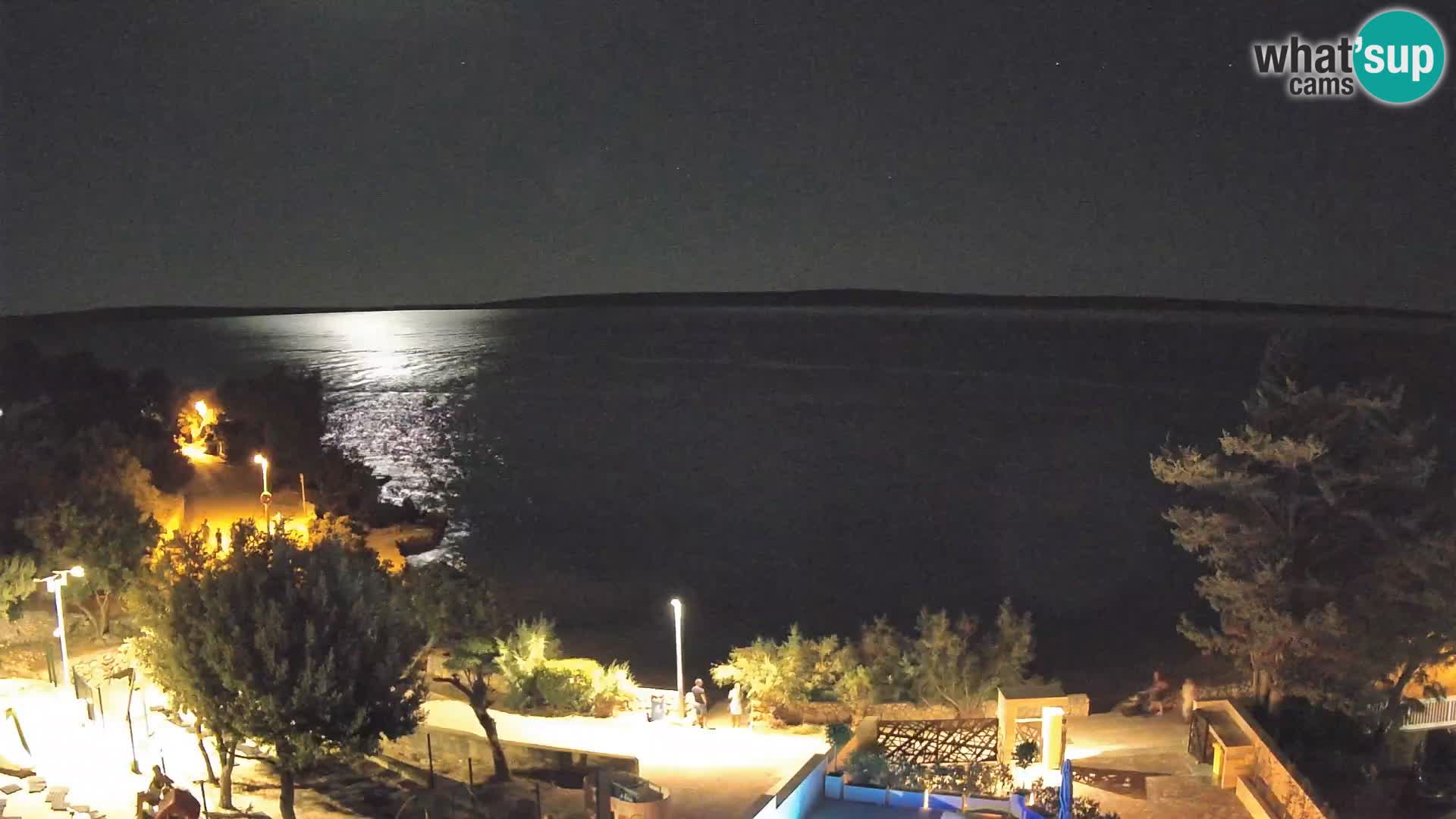 Webcam Plage Male Mandre – Vue en direct depuis l’île de Pag