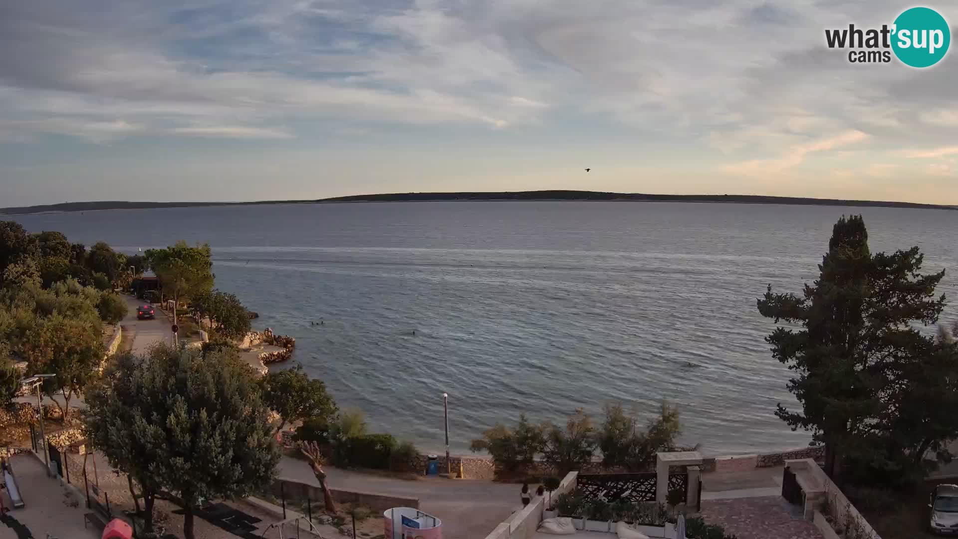 Webcam Plaža Male Mandre – Live View from Pag Island