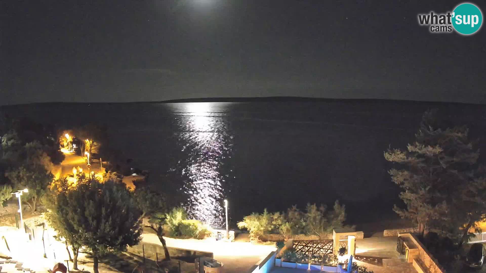 Webcam Plaža Male Mandre – Live View from Pag Island
