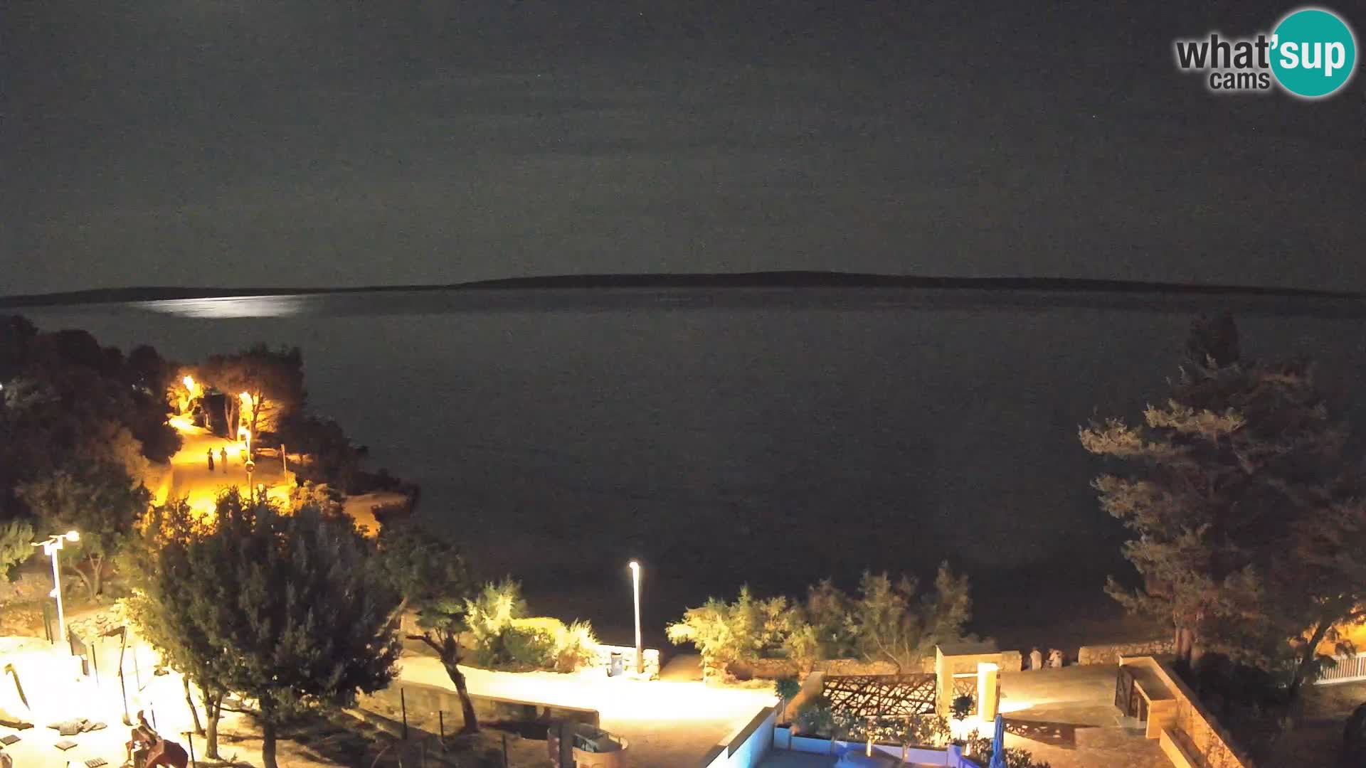 Webcam Plage Male Mandre – Vue en direct depuis l’île de Pag
