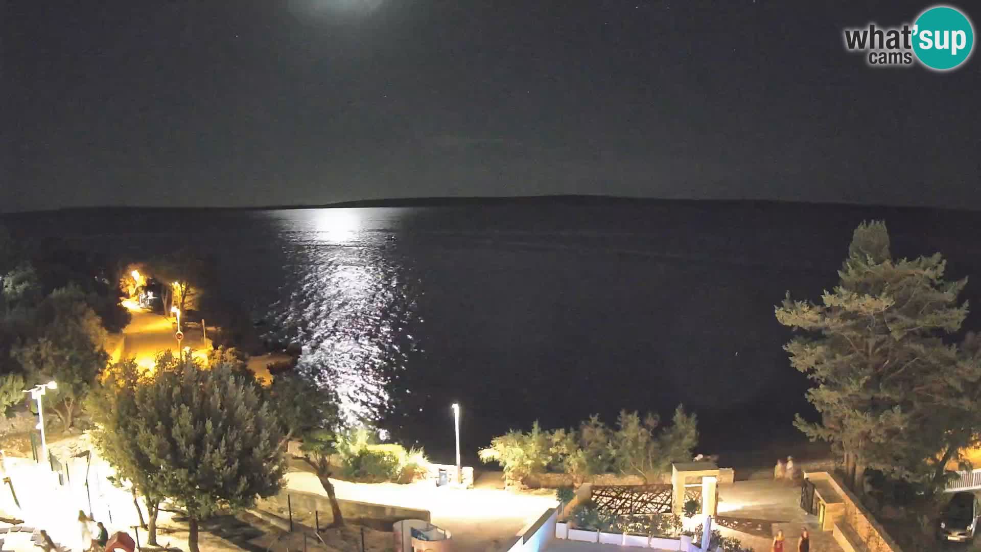 Webcam Plaža Male Mandre – Live View from Pag Island