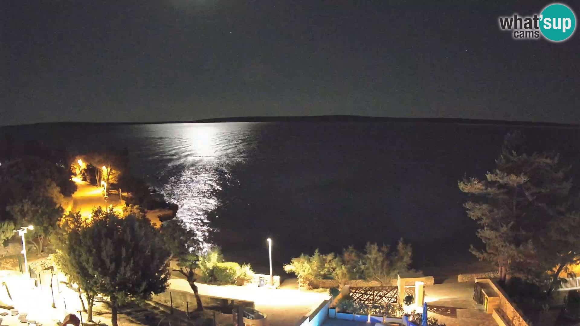 Webcam Plage Male Mandre – Vue en direct depuis l’île de Pag
