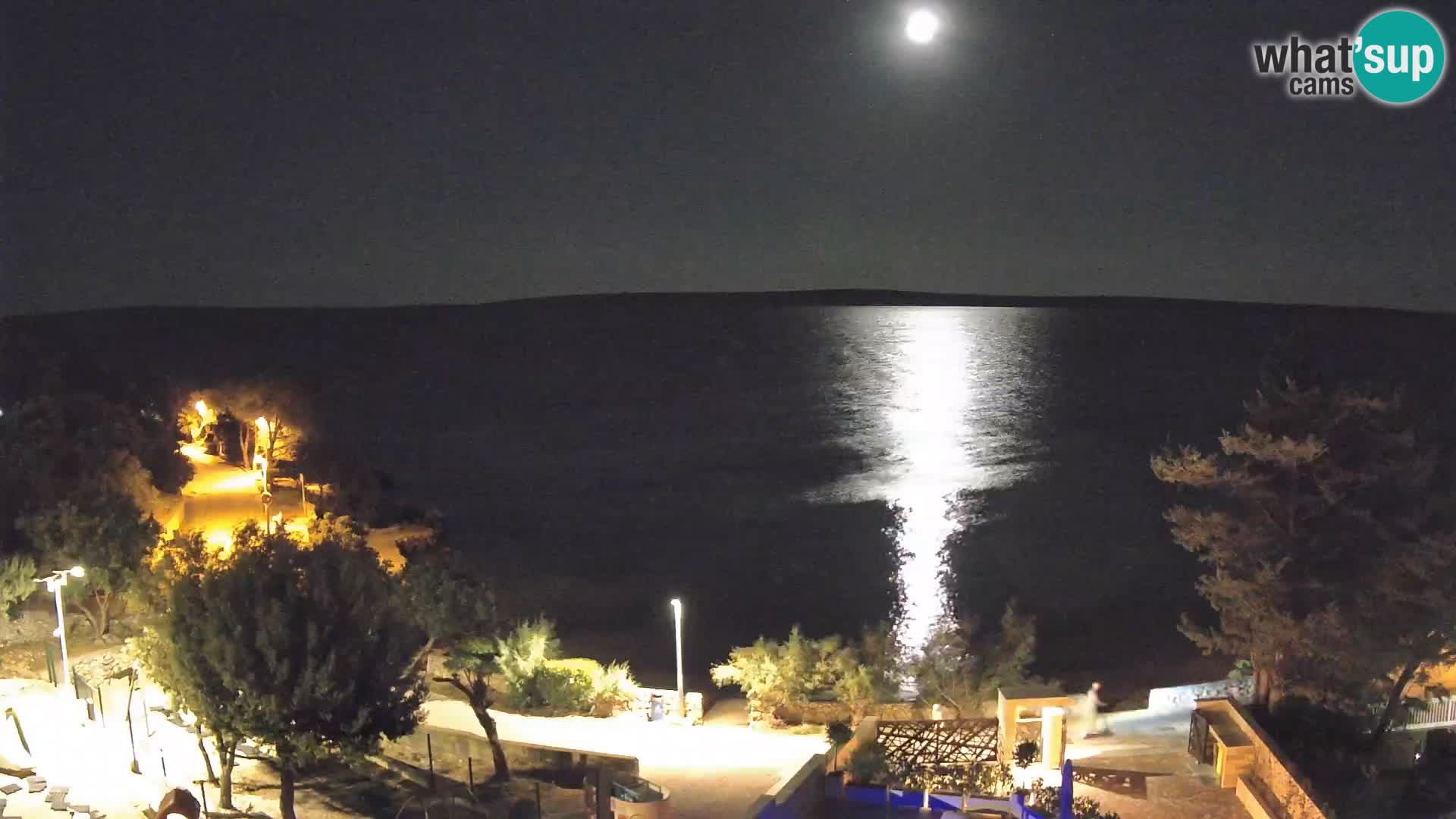 Webcam Plage Male Mandre – Vue en direct depuis l’île de Pag