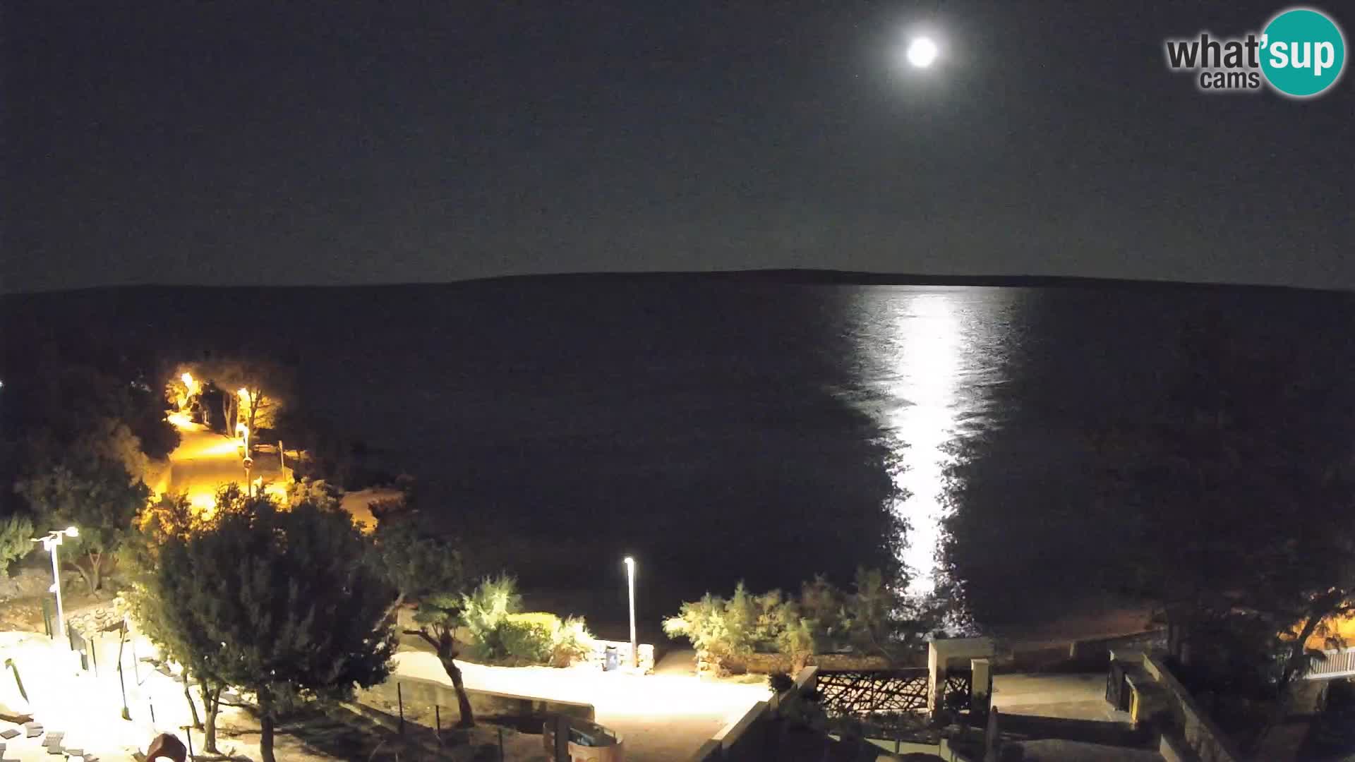 Webcam Plage Male Mandre – Vue en direct depuis l’île de Pag